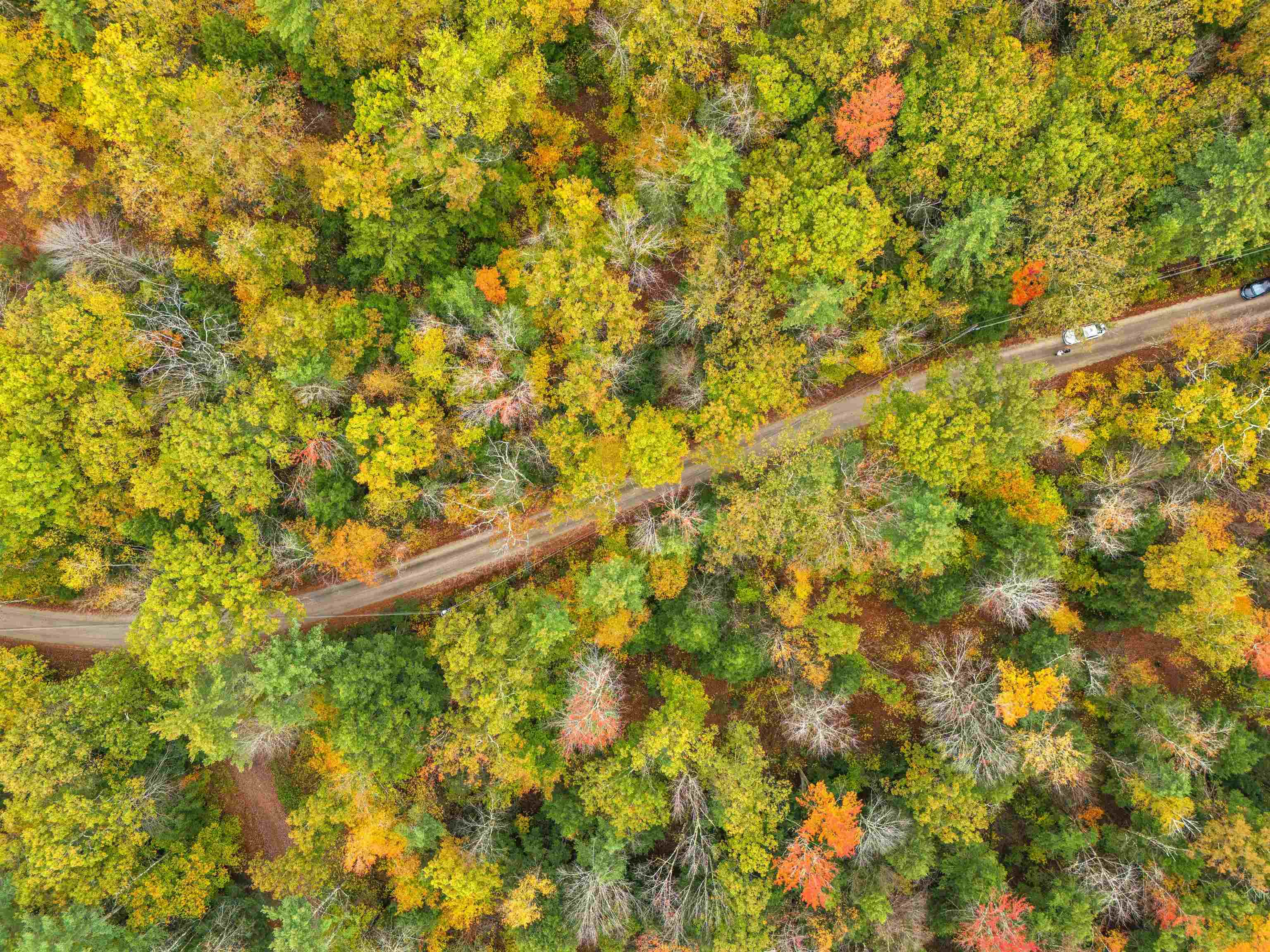 Map 408 Lot 39 1 Bullock Rd, Richmond, NH 03446