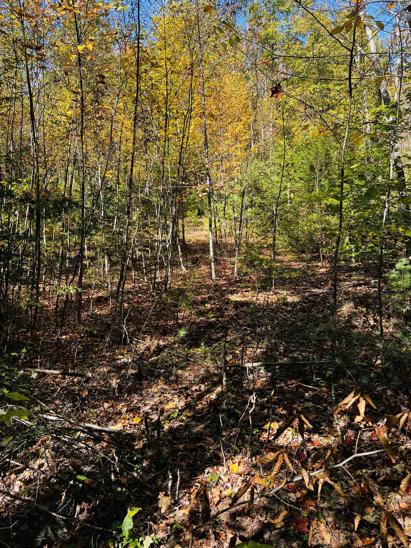 Map 408 Lot 39 1 Bullock Rd, Richmond, NH 03446