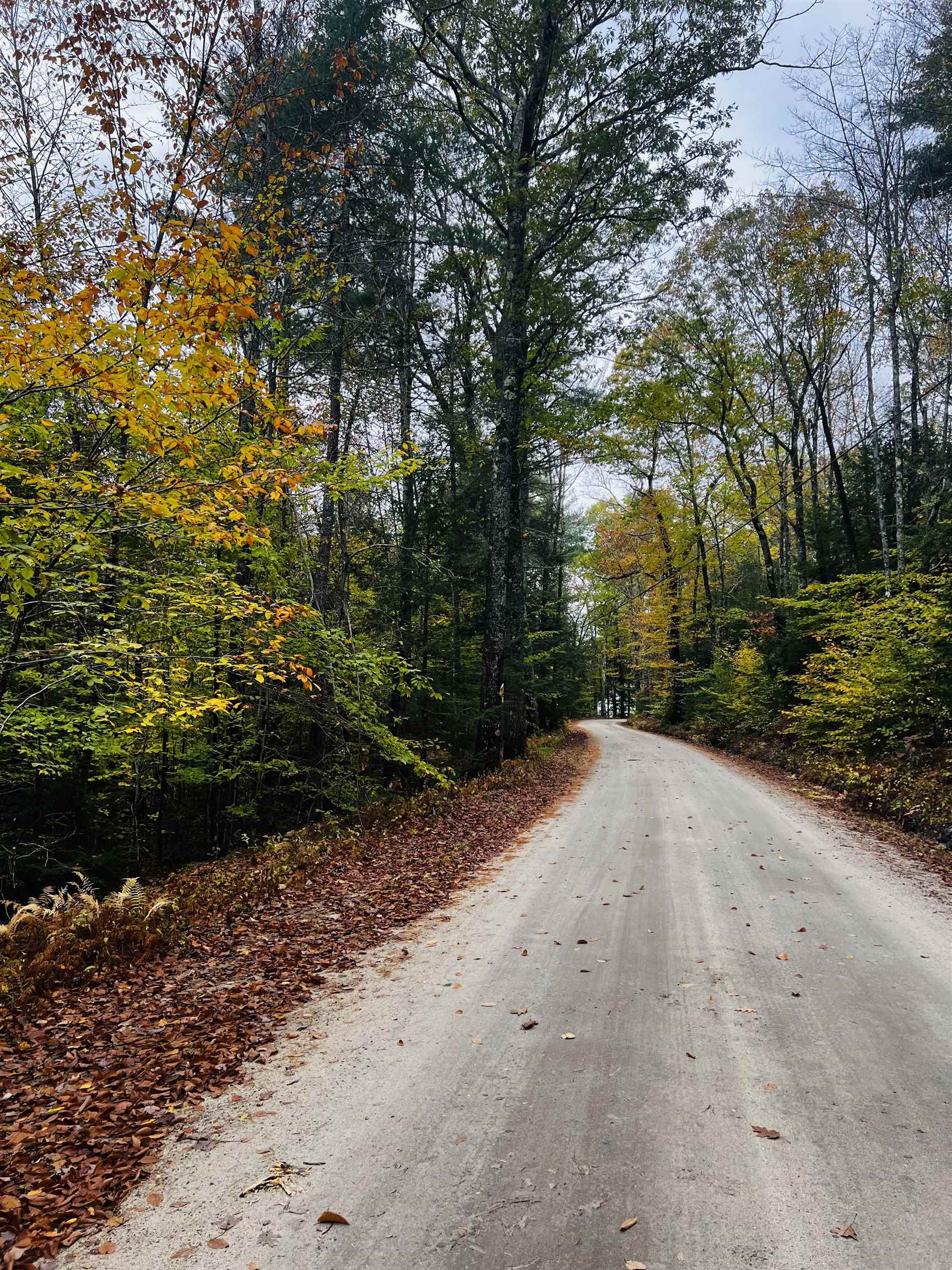 Map 408 Lot 39 1 Bullock Rd, Richmond, NH 03446