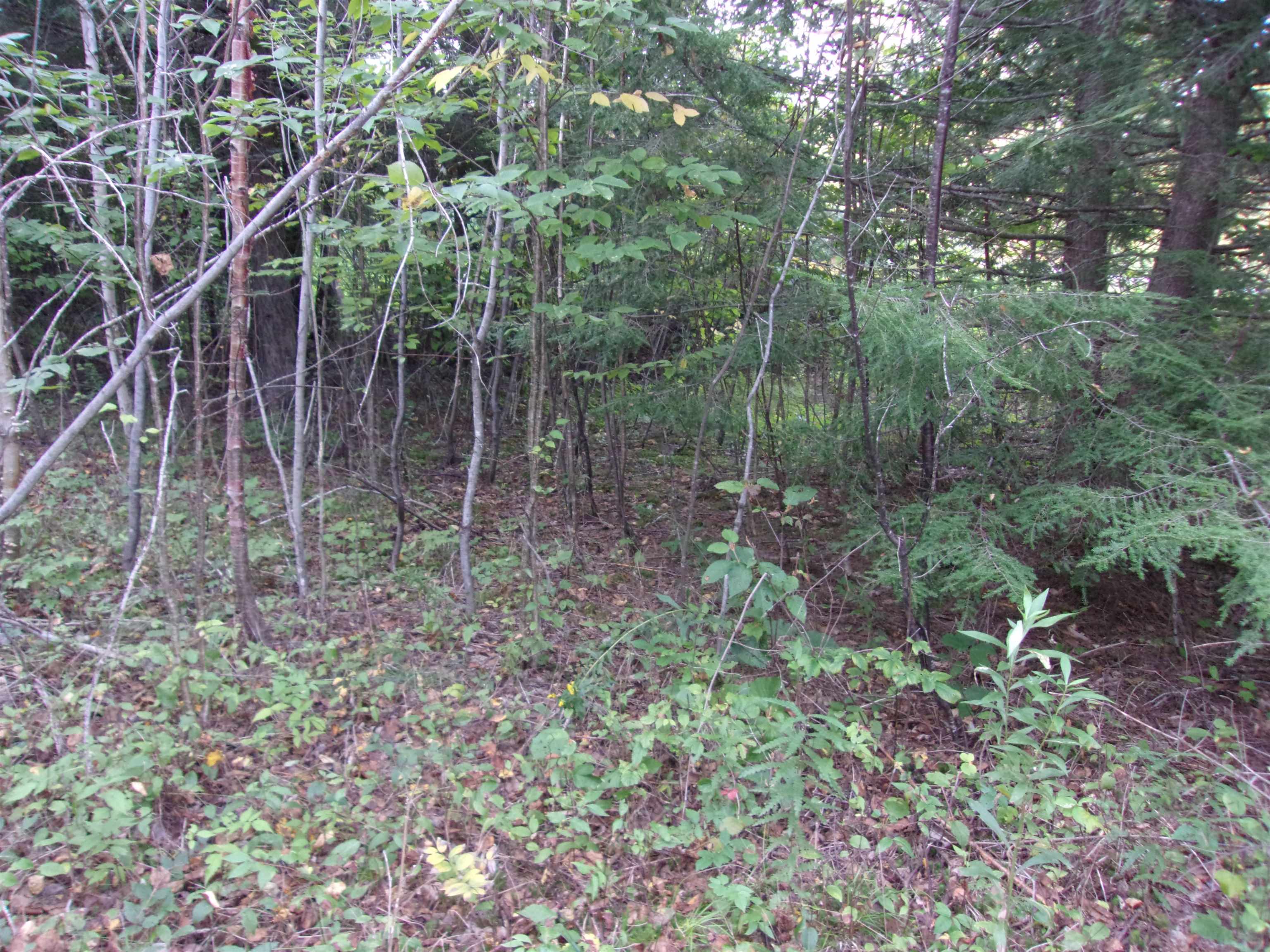 0 Fenn Way Cir, Bath, NH 03740