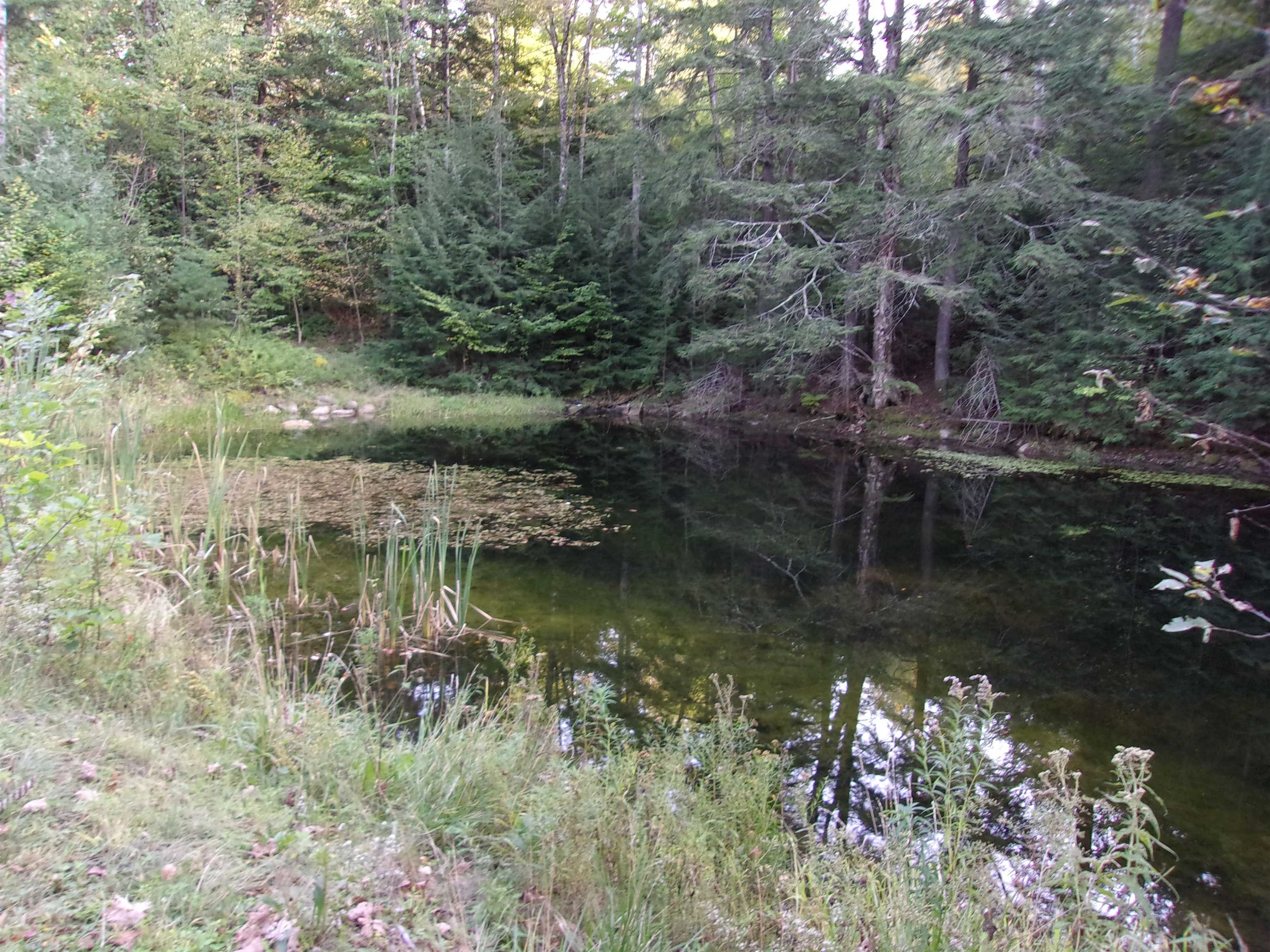 0 Fenn Way Cir, Bath, NH 03740