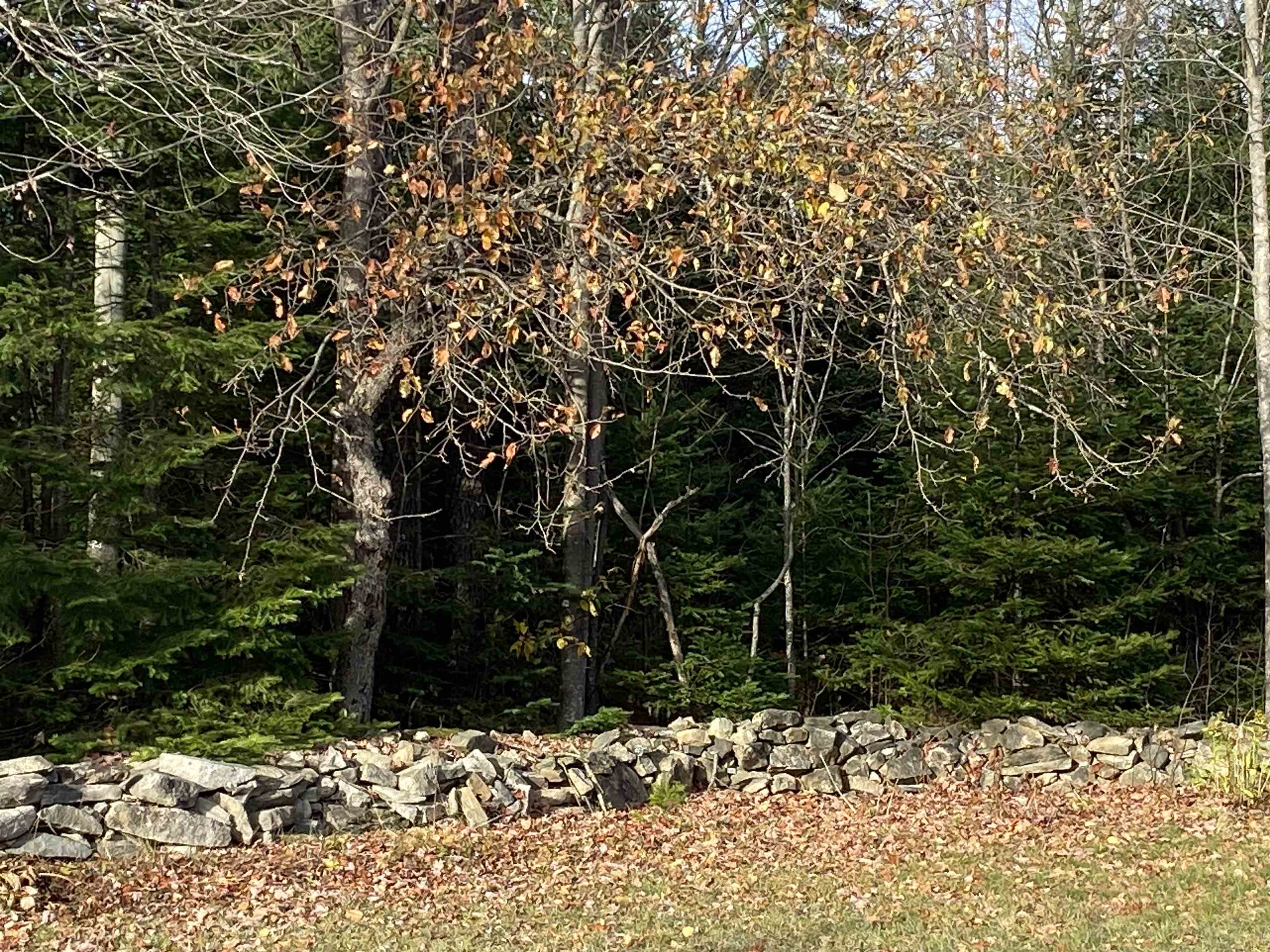 30 W Milan Rd, Berlin, NH 03570