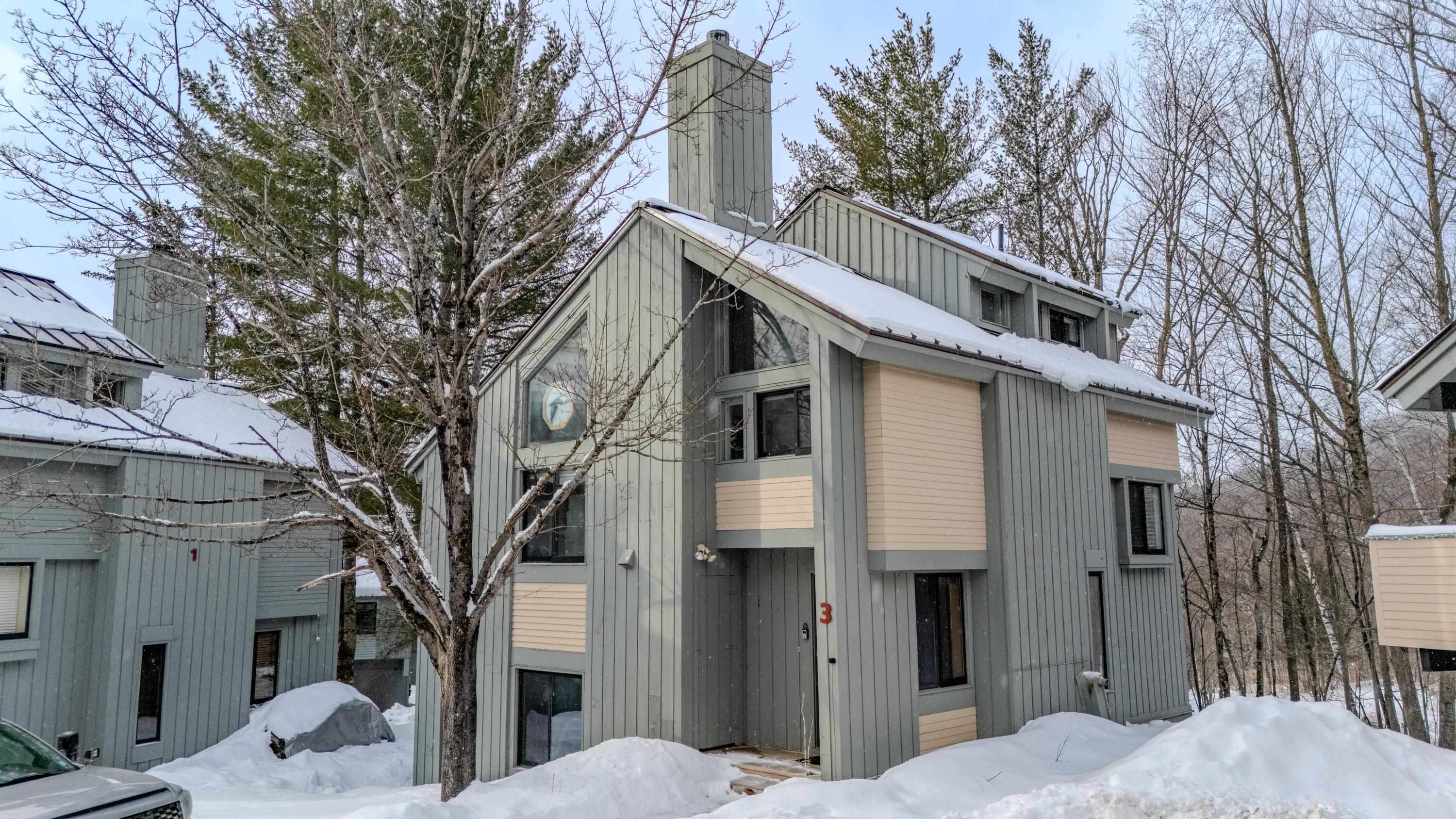 3 Big Bear Ln, Lincoln, NH 03251
