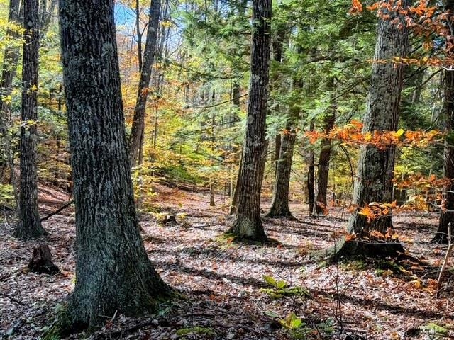 29-31 White Brook Rd, Gilsum, NH 03448