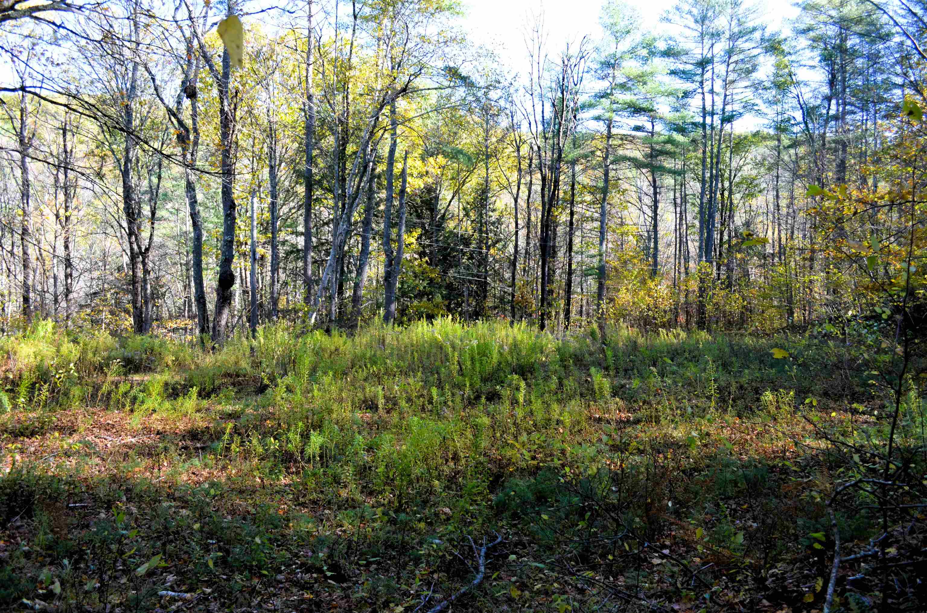 29-31 White Brook Rd, Gilsum, NH 03448