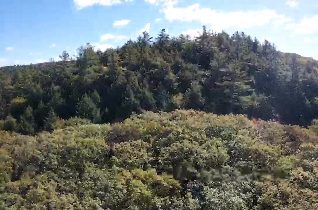 29-31 White Brook Rd, Gilsum, NH 03448