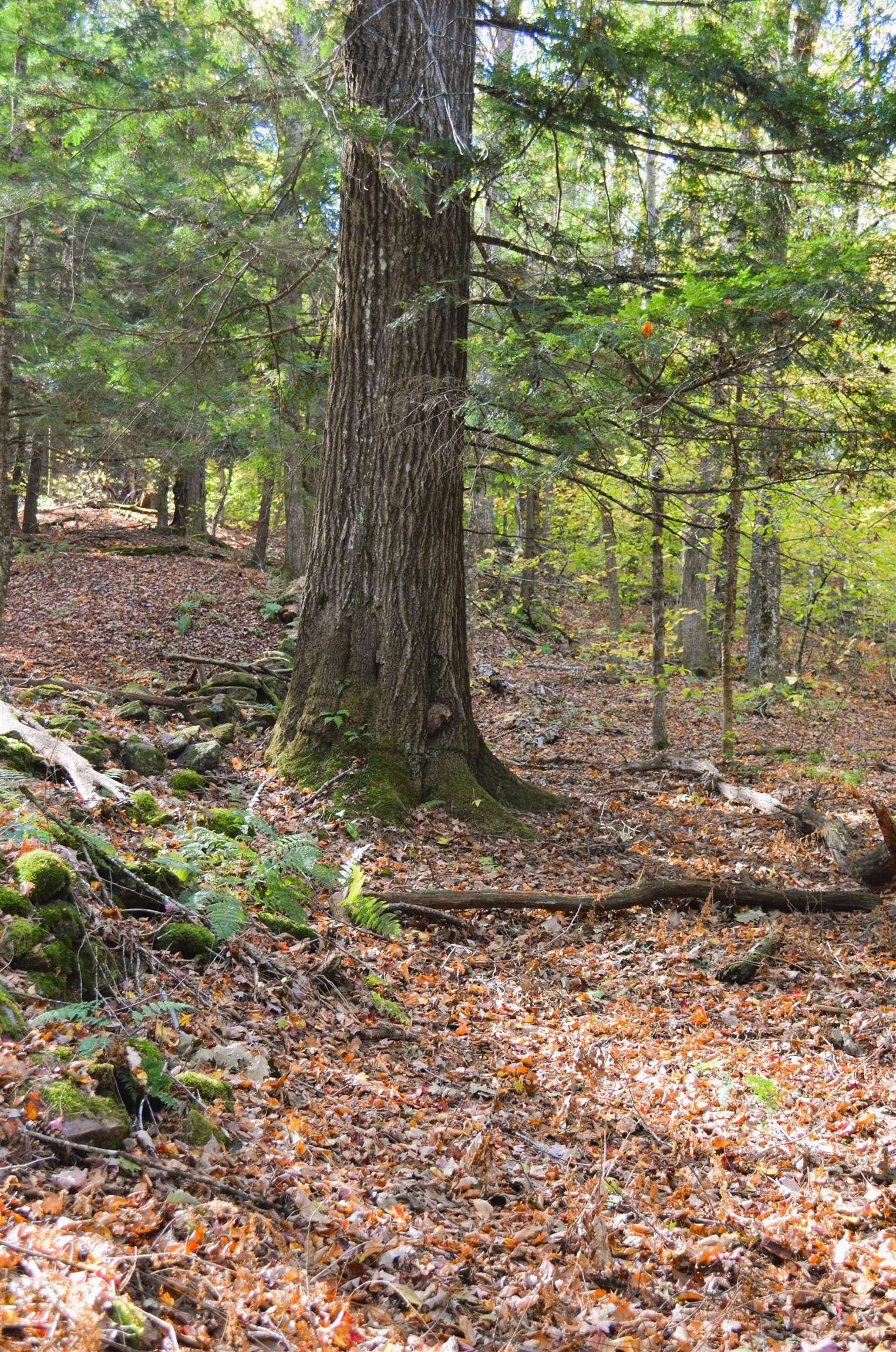 29-31 White Brook Rd, Gilsum, NH 03448