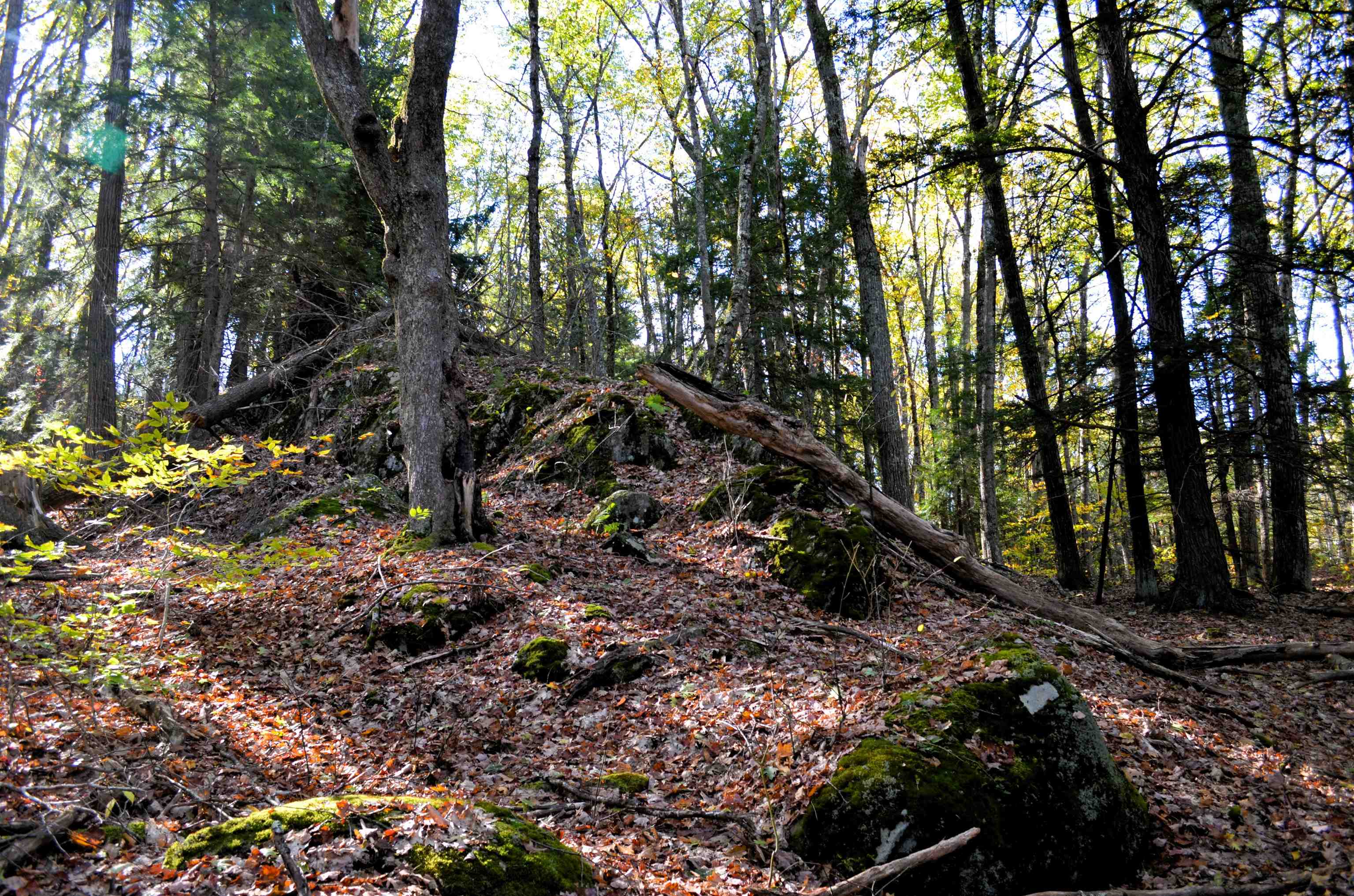 29-31 White Brook Rd, Gilsum, NH 03448