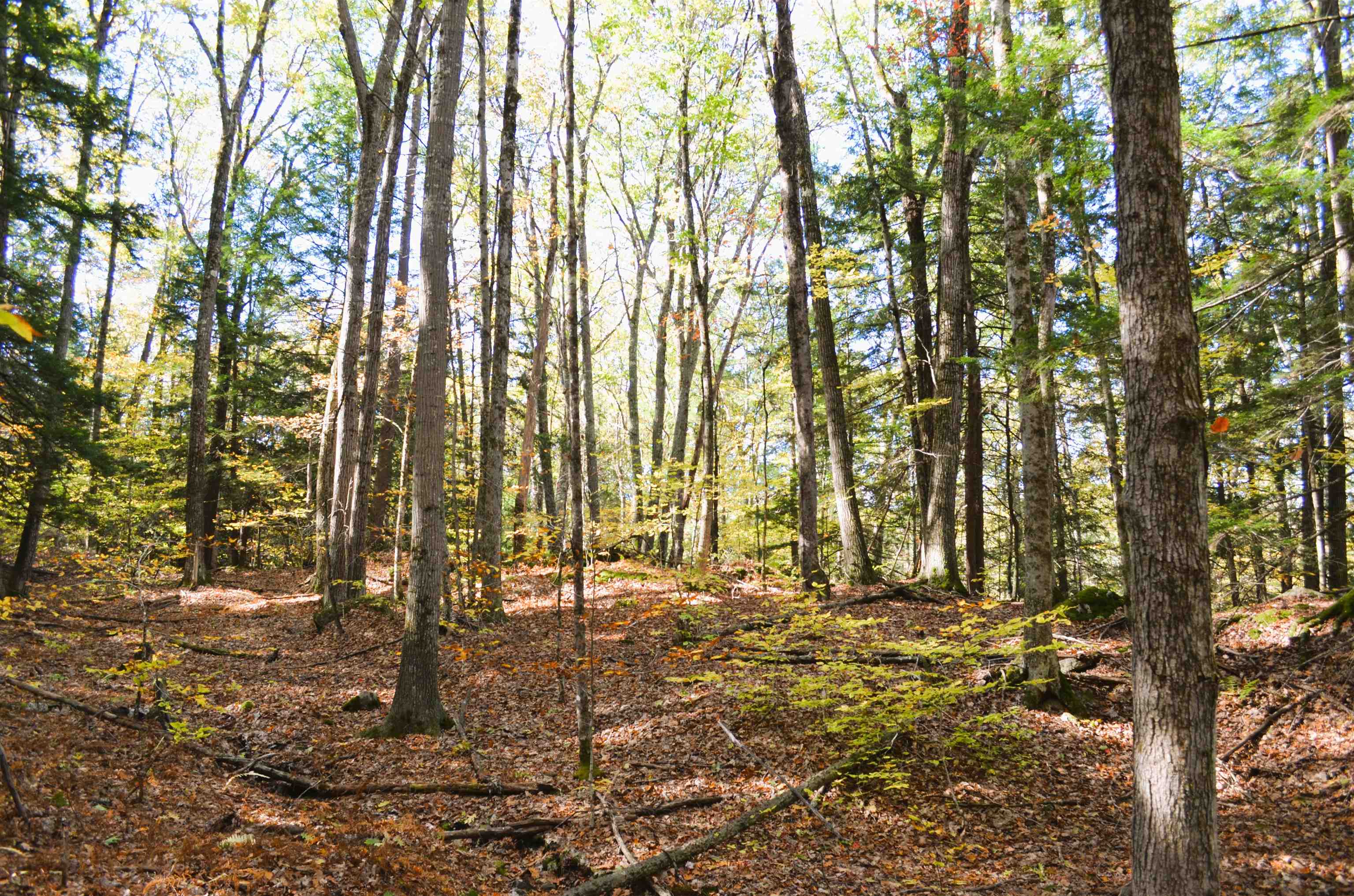 29-31 White Brook Rd, Gilsum, NH 03448