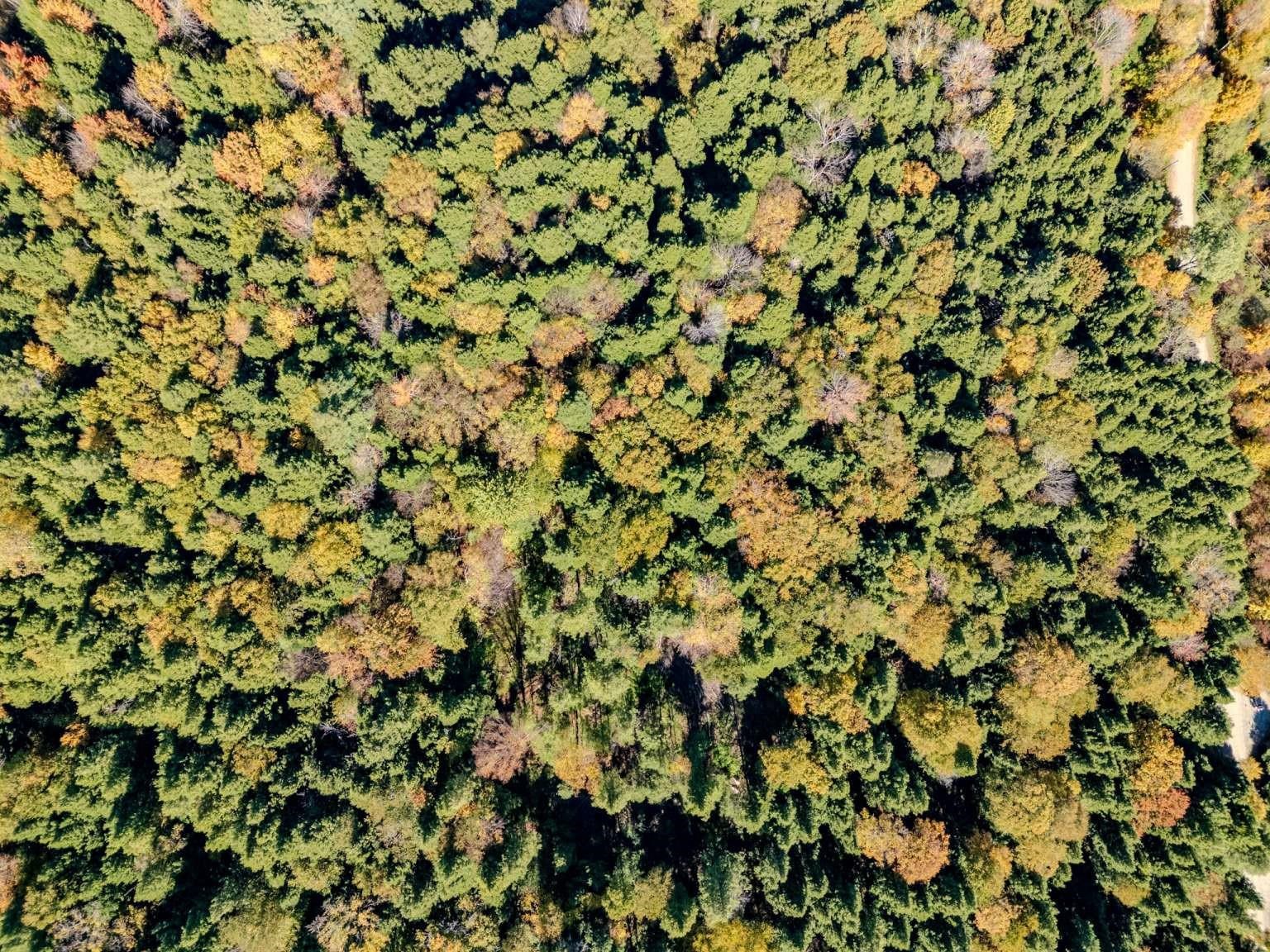 Homes for sale in Jericho, VT | 30 Bentley Ln, Jericho, VT 05465 | MLS# 5066396