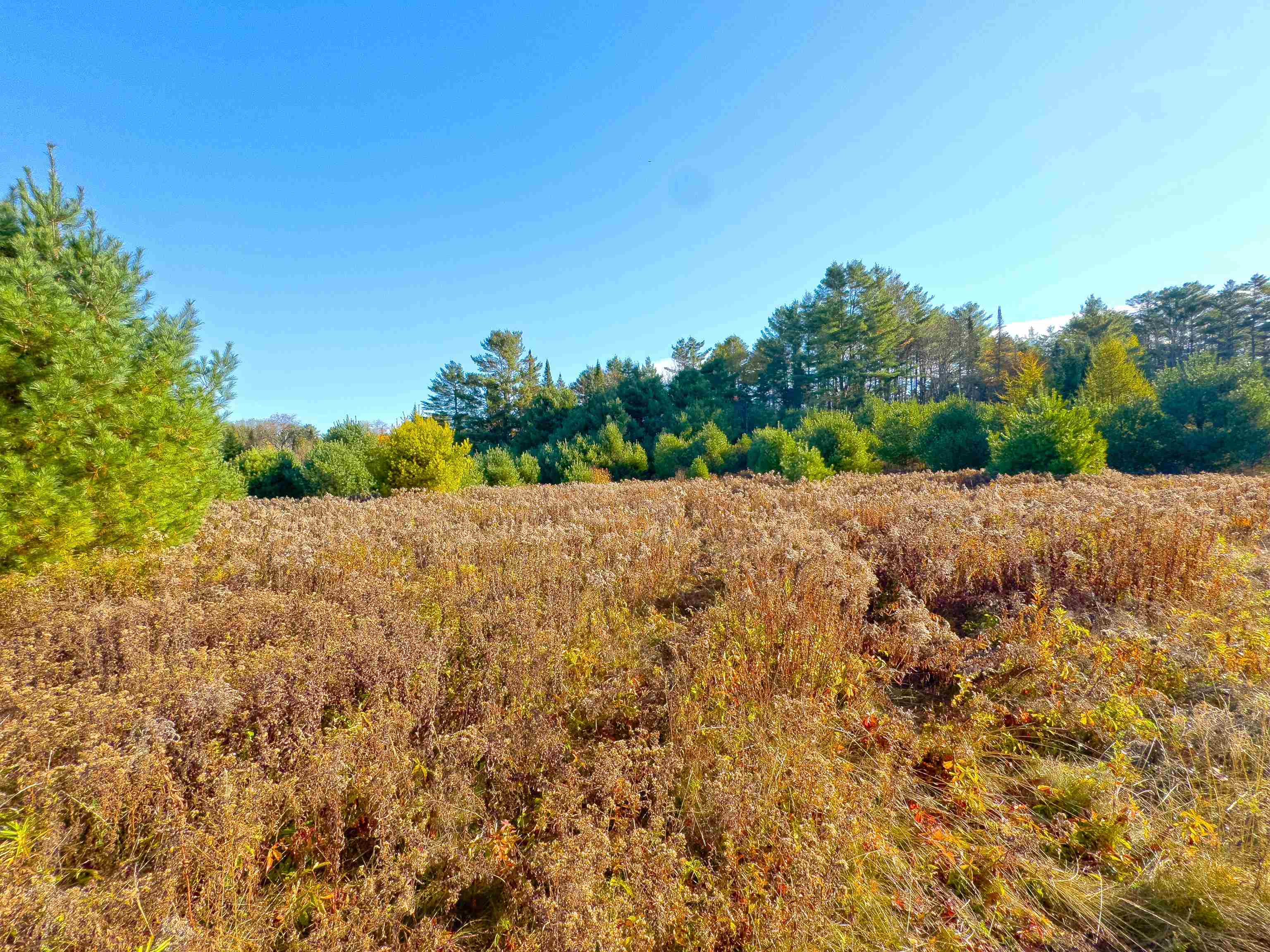 Lot 10 Landry Rd, Dalton, NH 03598