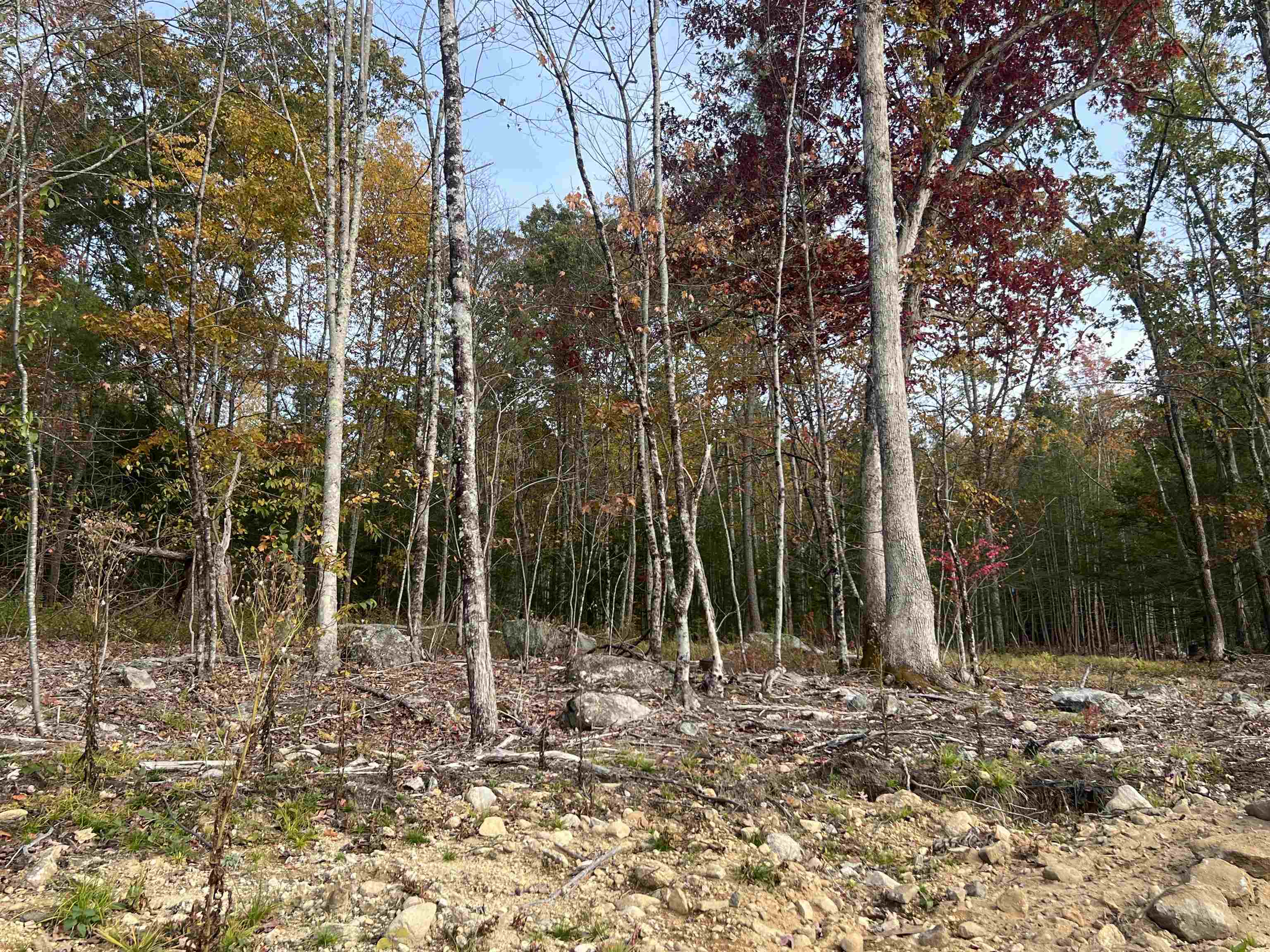 101B Seaverns Bridge Rd, Merrimack, NH 03054