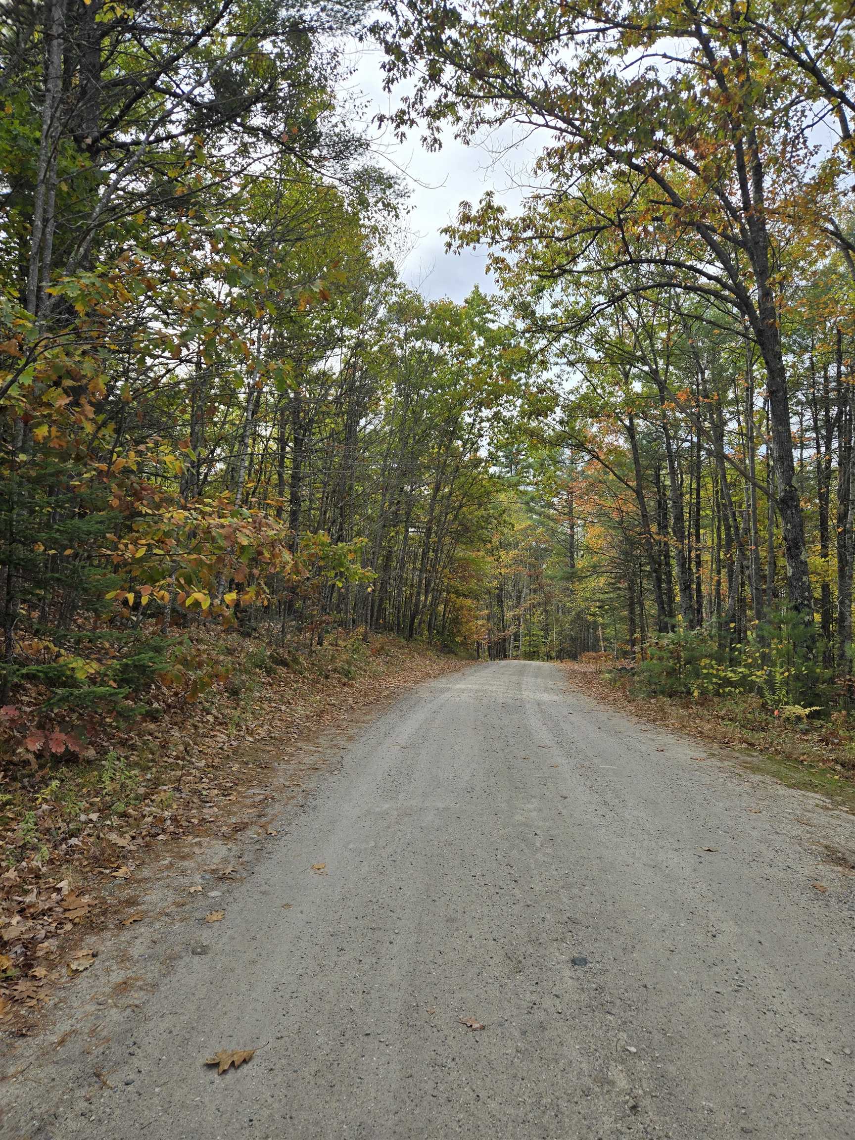 Homes for sale in Brownfield, ME | 133 Plantation Ln, Brownfield, ME 04010 | MLS# 5066520
