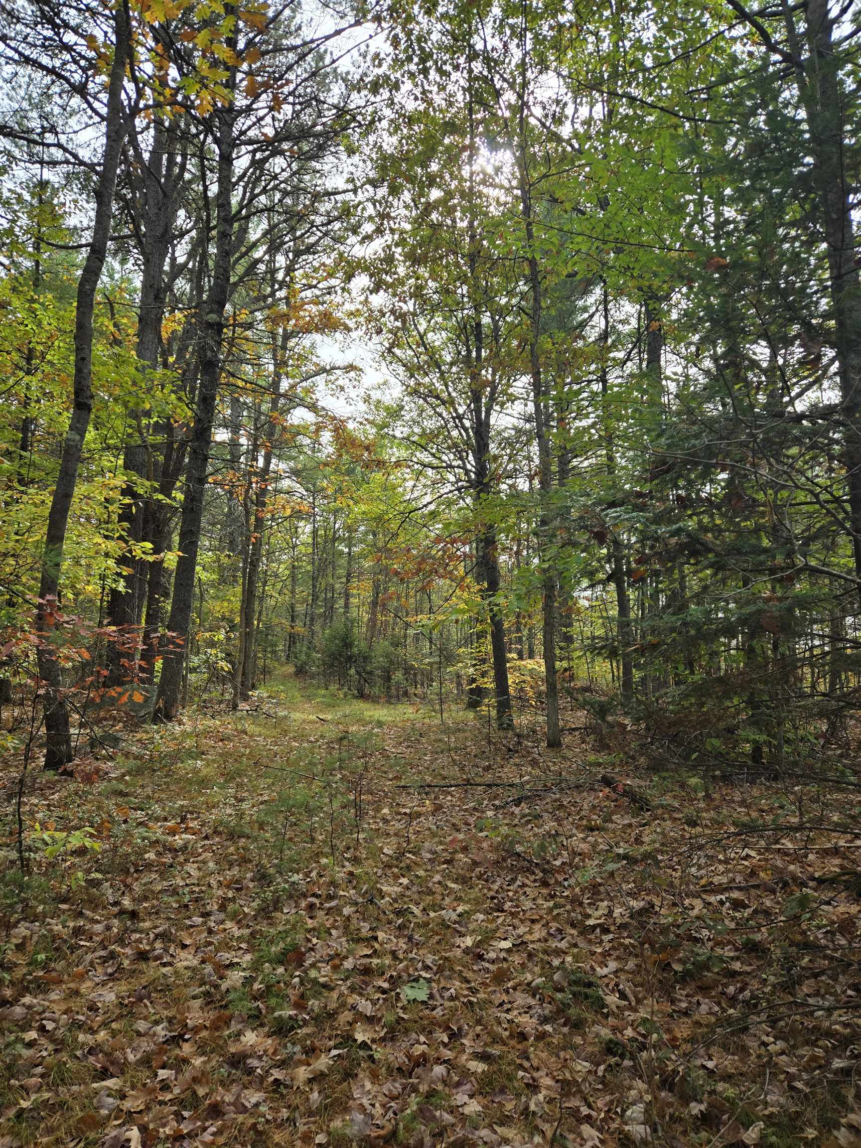 Homes for sale in Brownfield, ME | 133 Plantation Ln, Brownfield, ME 04010 | MLS# 5066520