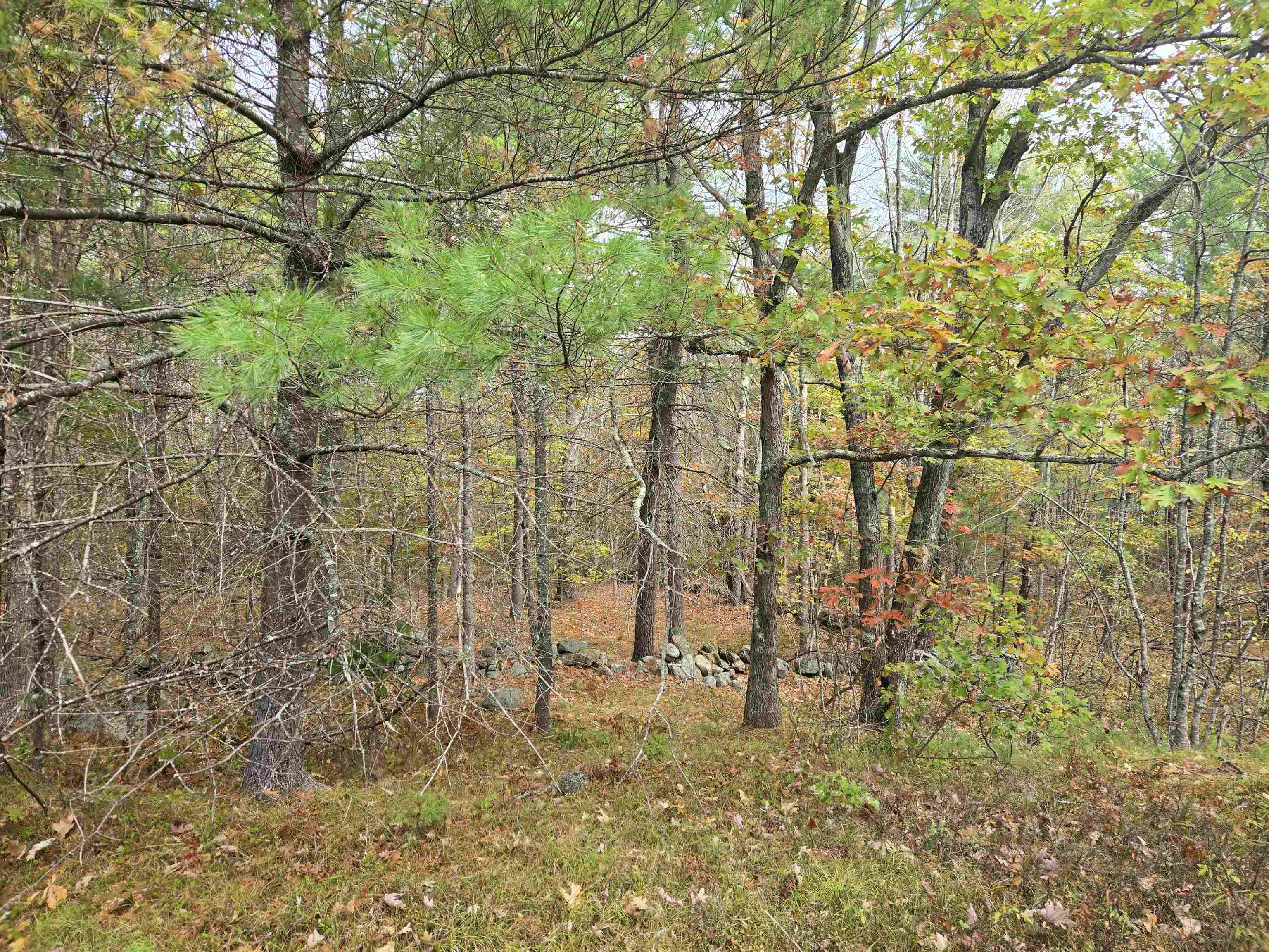 Homes for sale in Brownfield, ME | 133 Plantation Ln, Brownfield, ME 04010 | MLS# 5066520