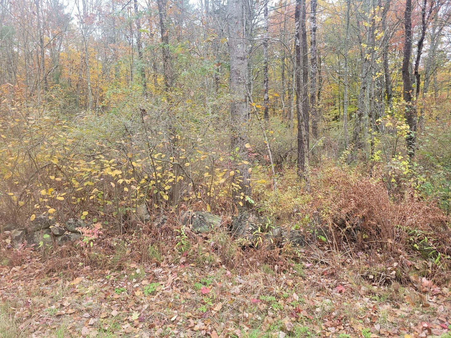 M2-l29-9 Province Rd, Barnstead, NH 03218