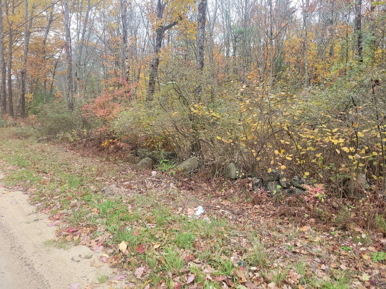 M2-l29-9 Province Rd, Barnstead, NH 03218