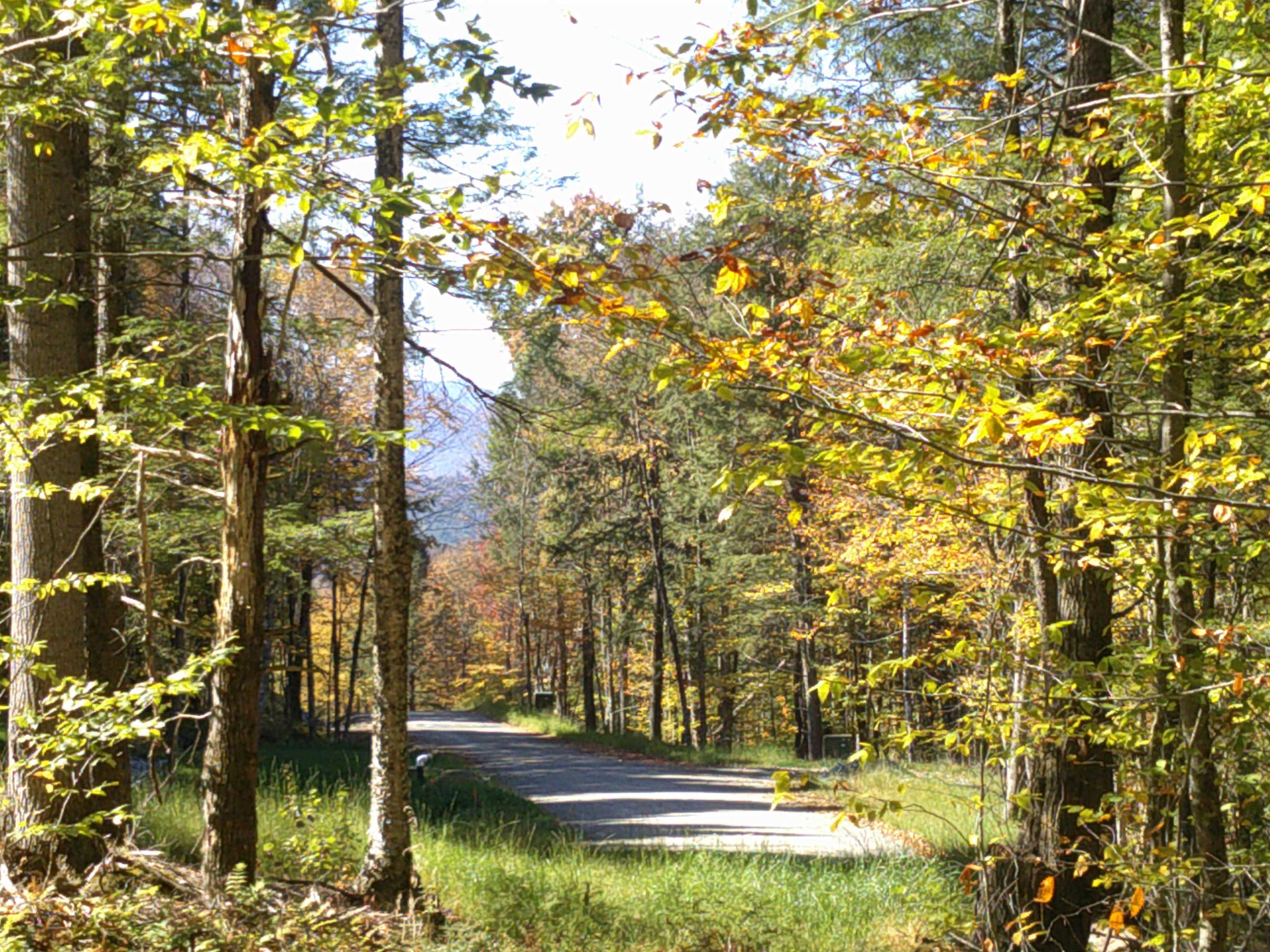 0 Dogwood Springs Road — 4