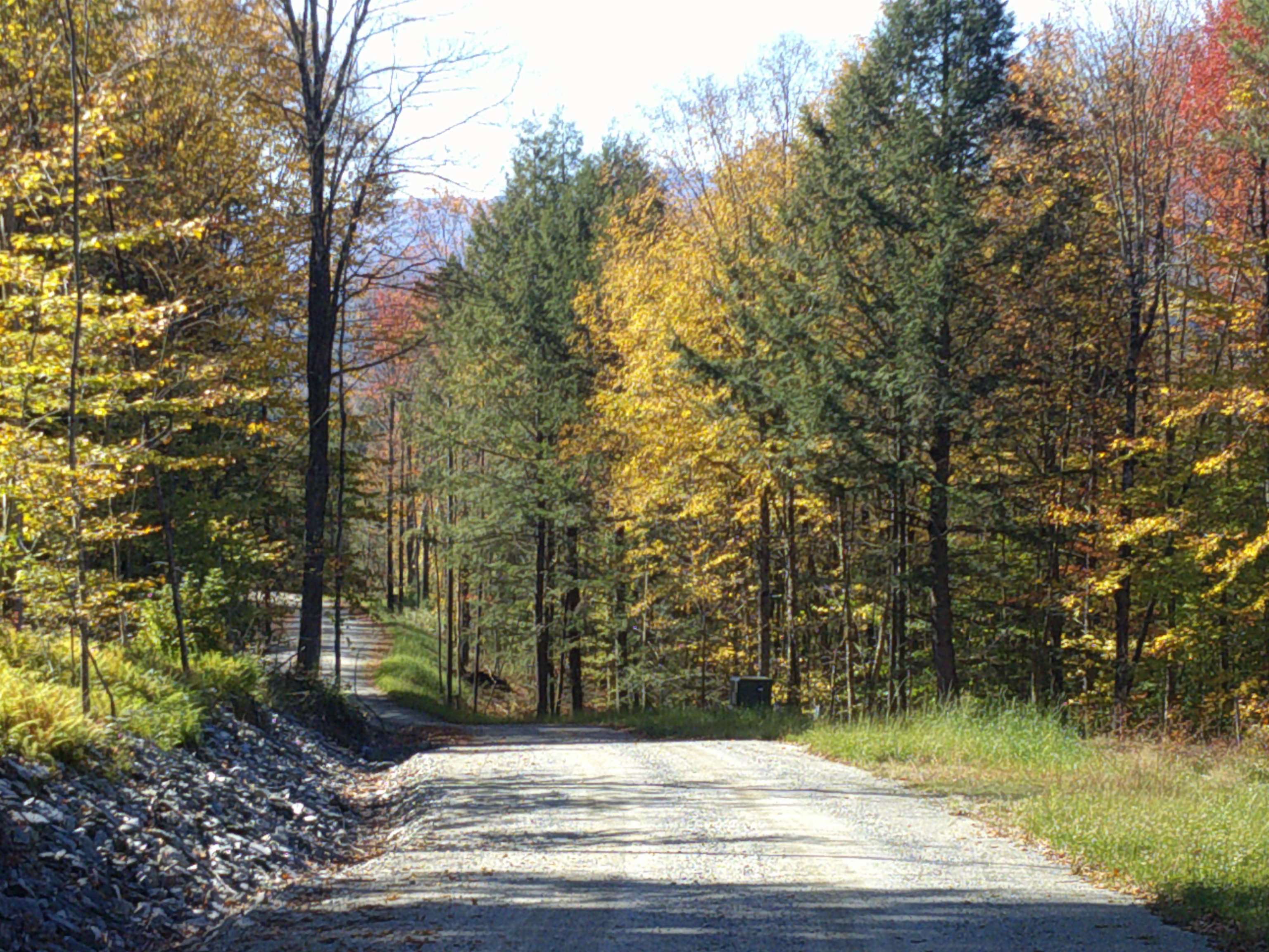 Homes for sale in Stowe, VT | 0 Dogwood Springs Rd, Stowe, VT 05672 | MLS# 5066606