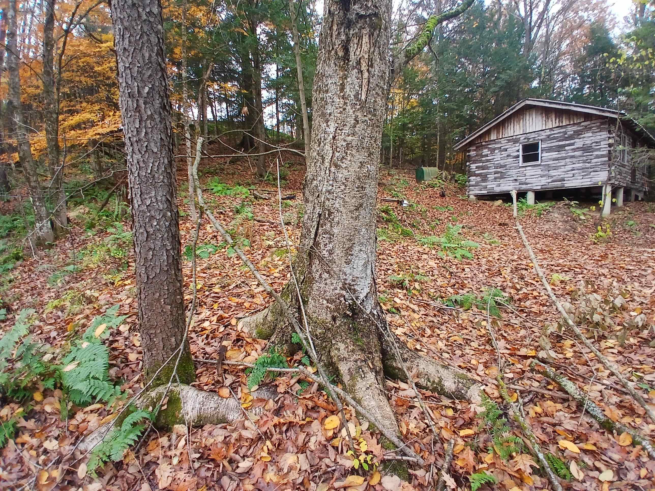 5 East Wilder Rd, Lebanon, NH 03784