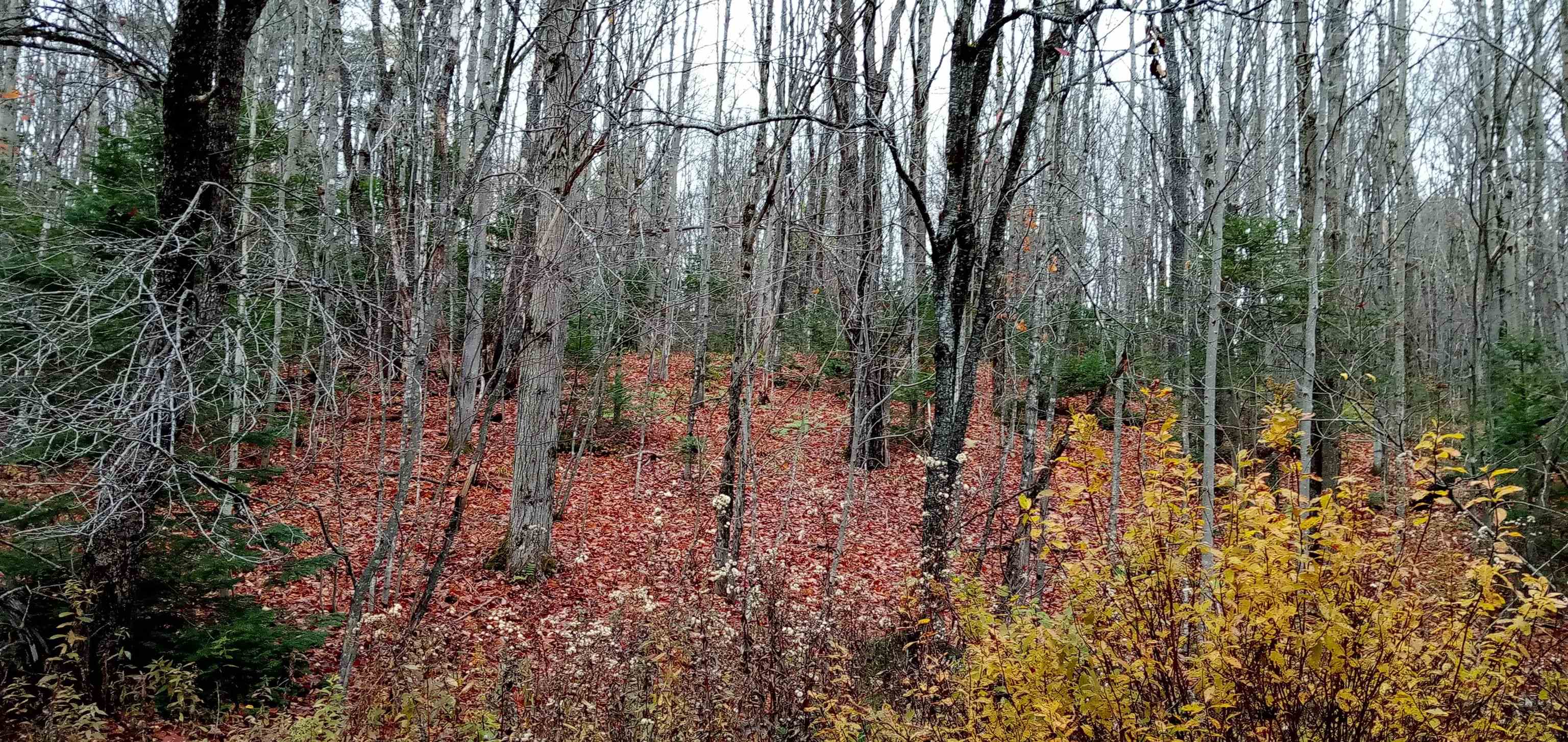 Homes for sale in Eden, VT | 000 Square Rd, Eden, VT 05653 | MLS# 5067459