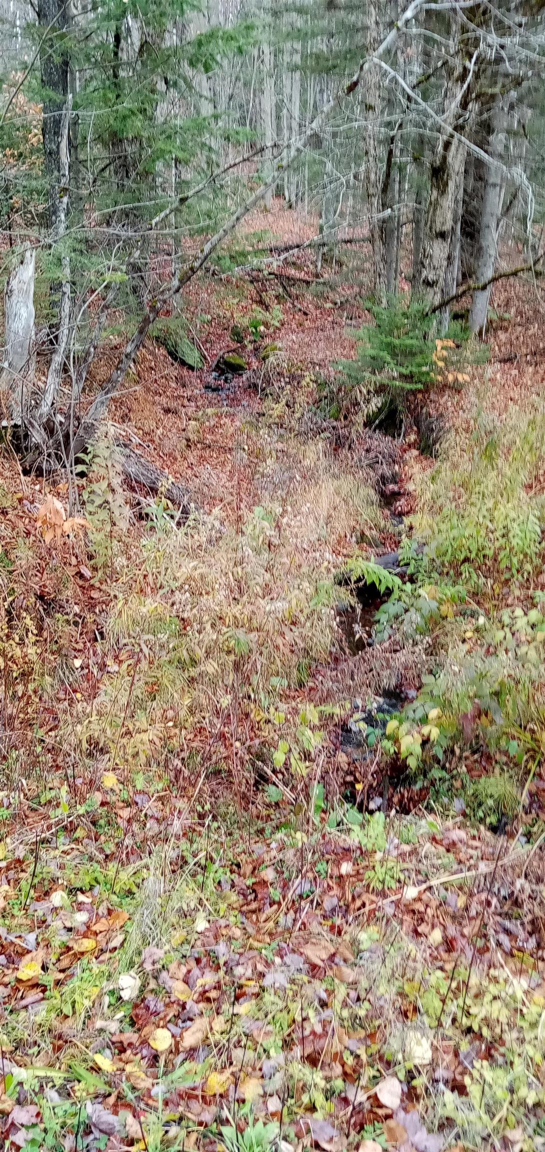 Homes for sale in Eden, VT | 000 Square Rd, Eden, VT 05653 | MLS# 5067459