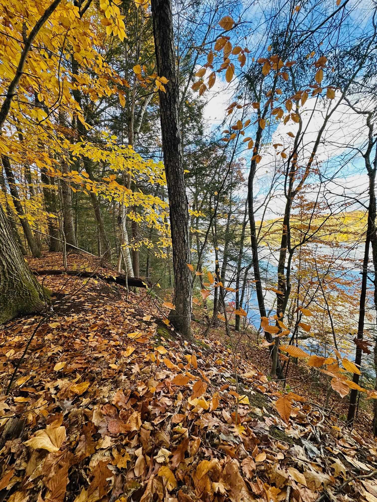 Springfield VT 05156&nbsp;Land for sale $List Price is $175,000