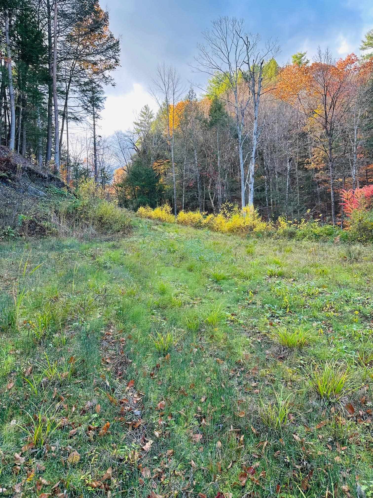 Springfield VT 05156&nbsp;Land for sale $List Price is $220,000