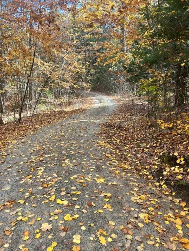 114 Ledgewood Ter, Bridgewater, NH 03222