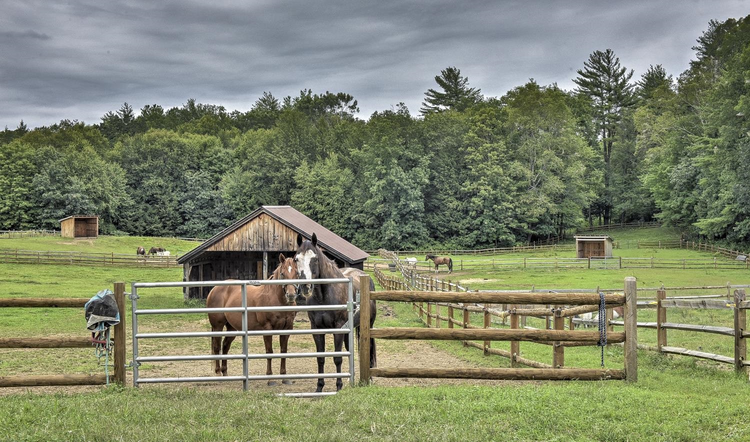 1123 River Rd, Westmoreland, NH 03467