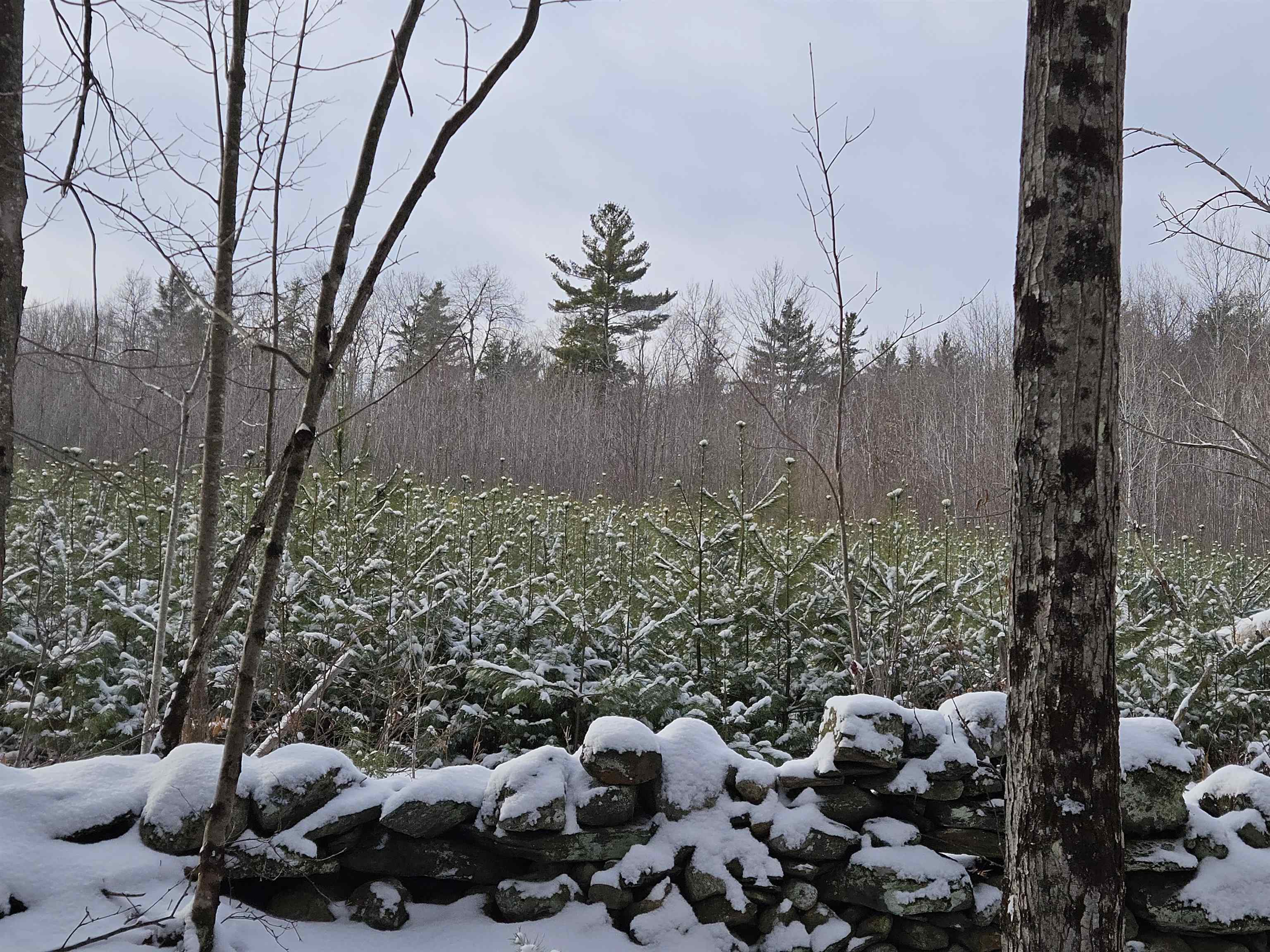 Lyme NH&nbsp;Land for sale $$245,000 | 21.6 Acres  | Price Per Acre $0 