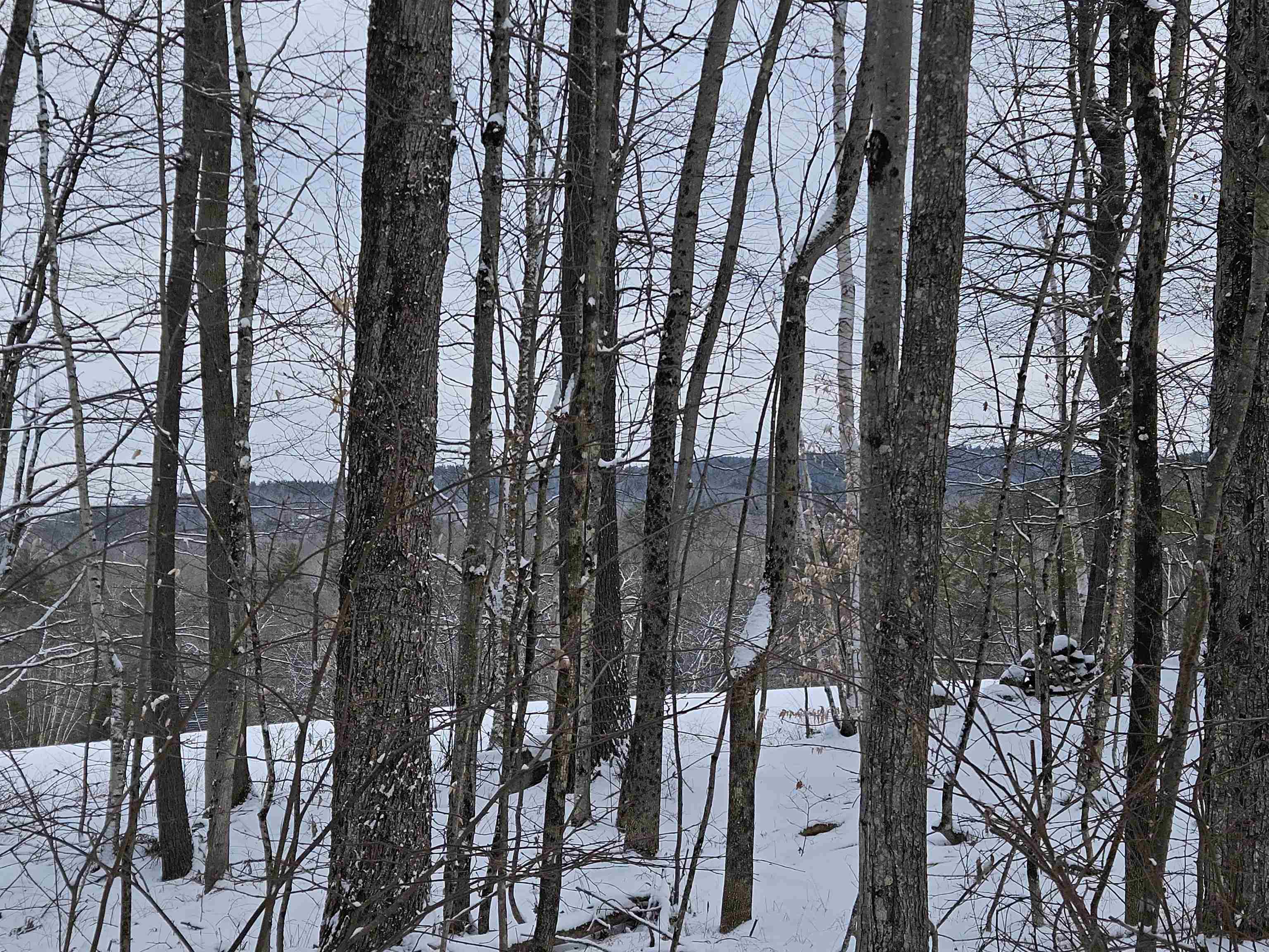 47 Highbridge Rd, Lyme, NH 03768