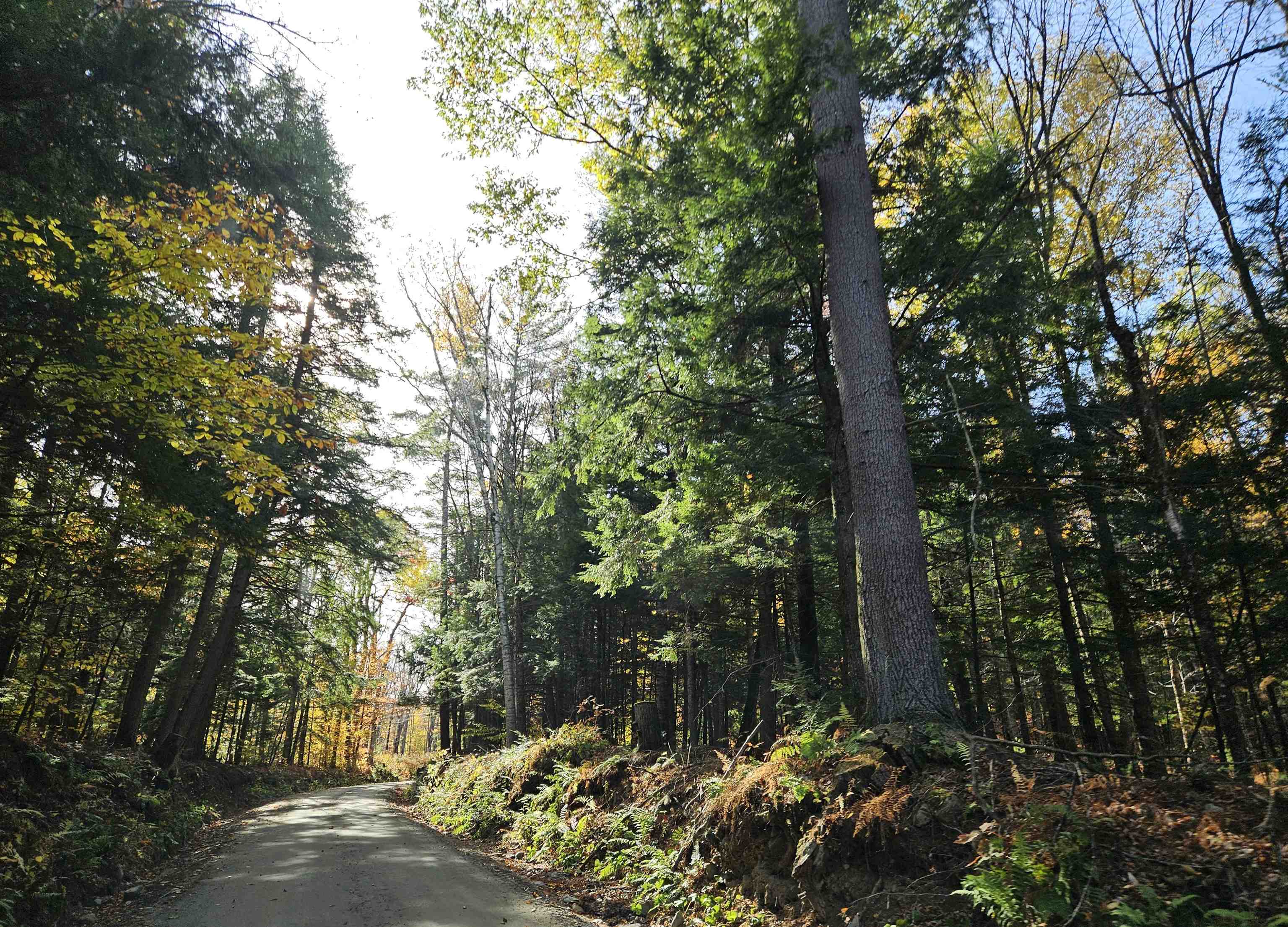 47 Highbridge Rd, Lyme, NH 03768