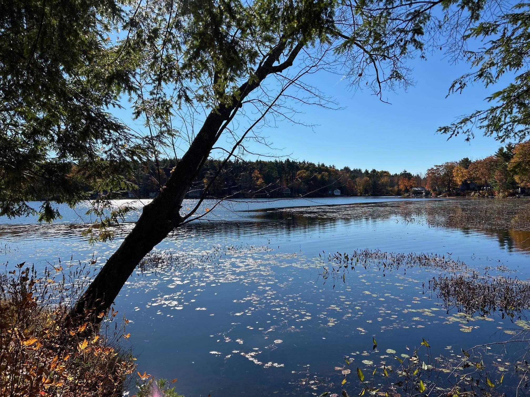 00 Rochester Road, Northwood, NH photo 4