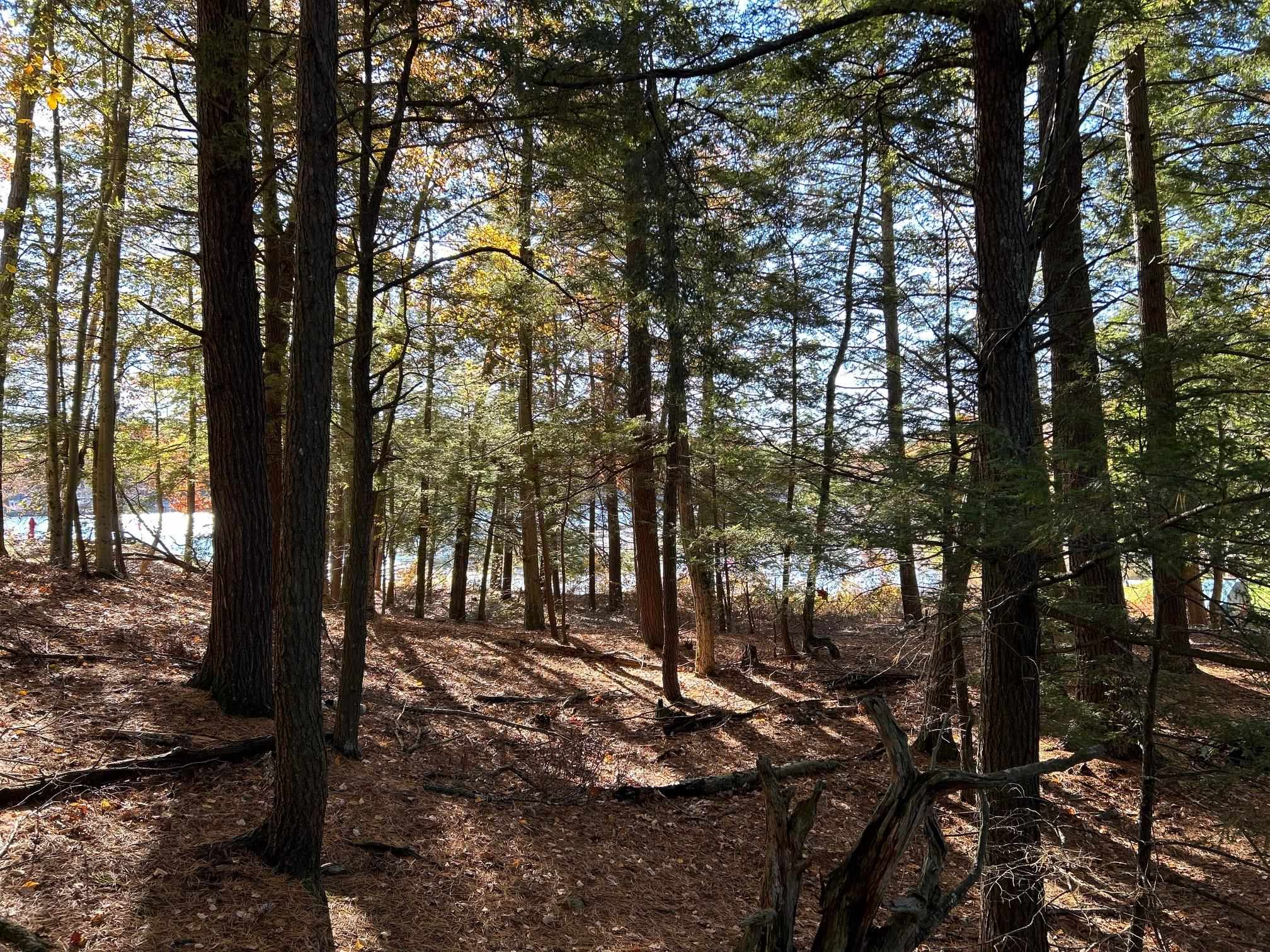 00 Rochester Rd, Northwood, NH 03261