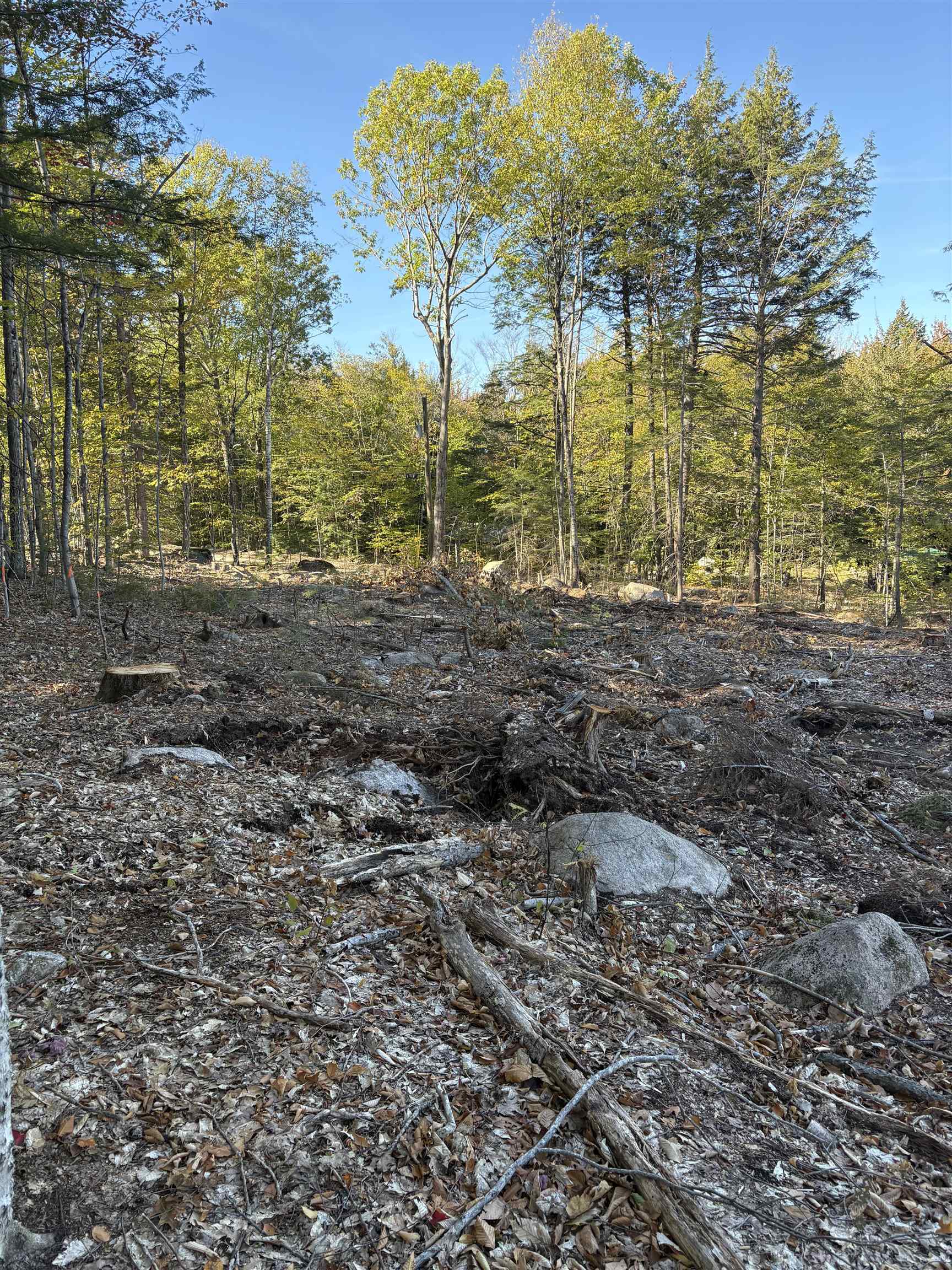 27 Sugarloaf Dr, Ossipee, NH 03814