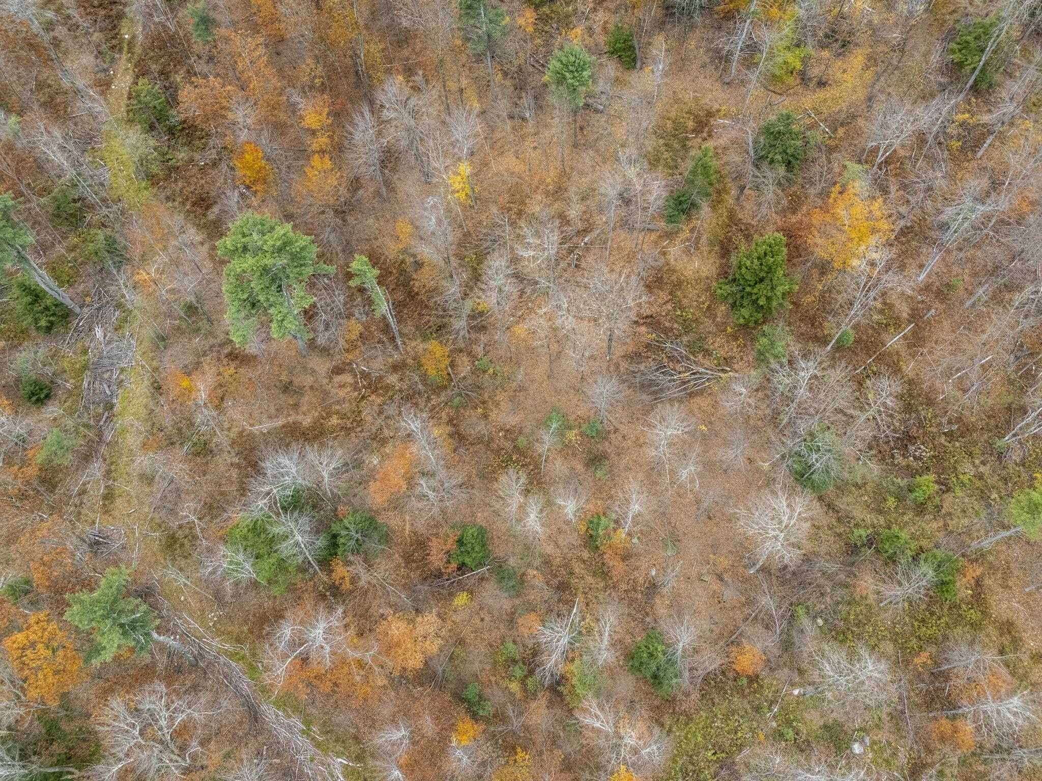 00 Greenville Rd, New Ipswich, NH 03071