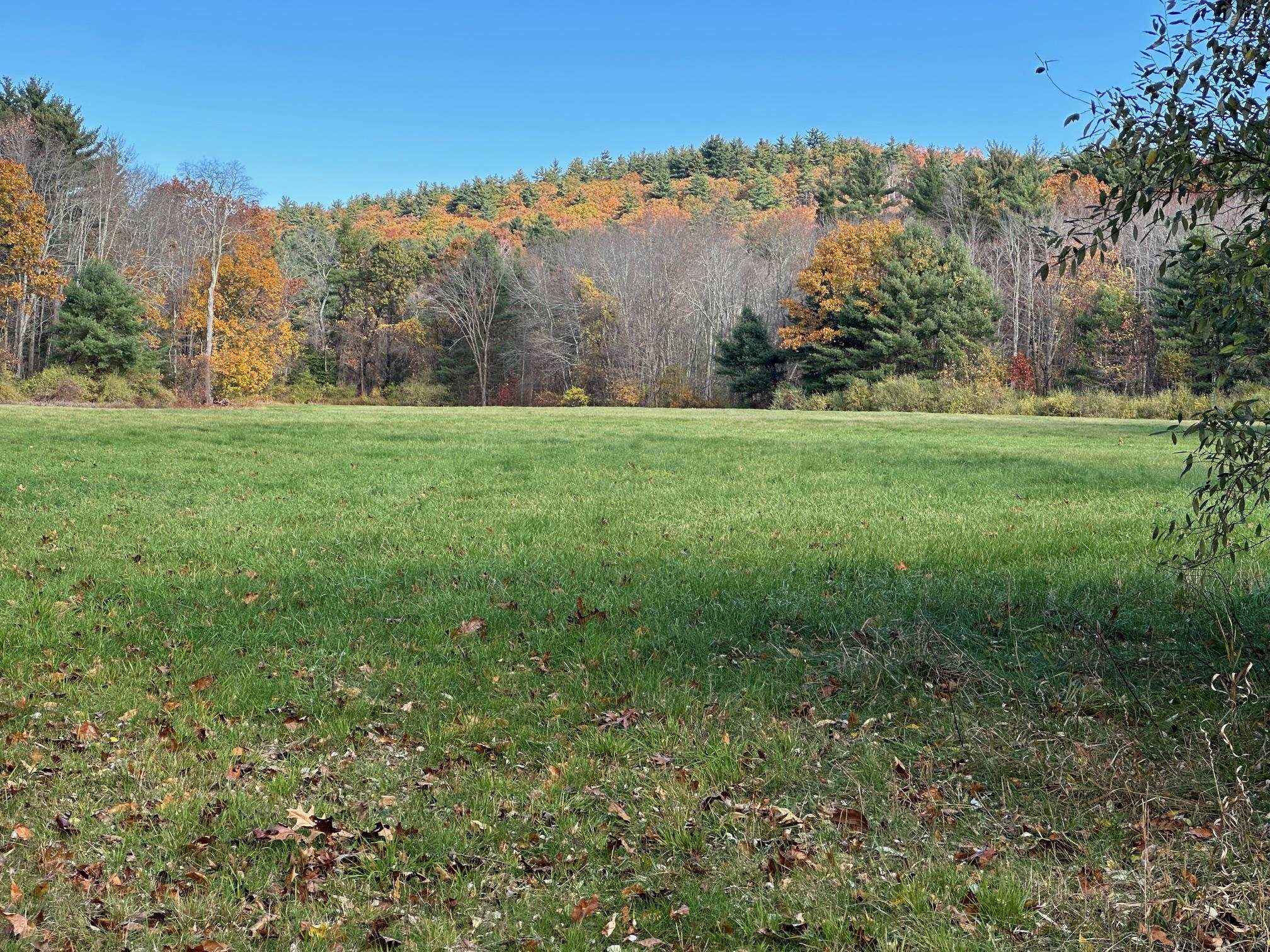 Amherst NH&nbsp;Land for sale $$1,500,000 | 9 Acres  | Price Per Acre $0 