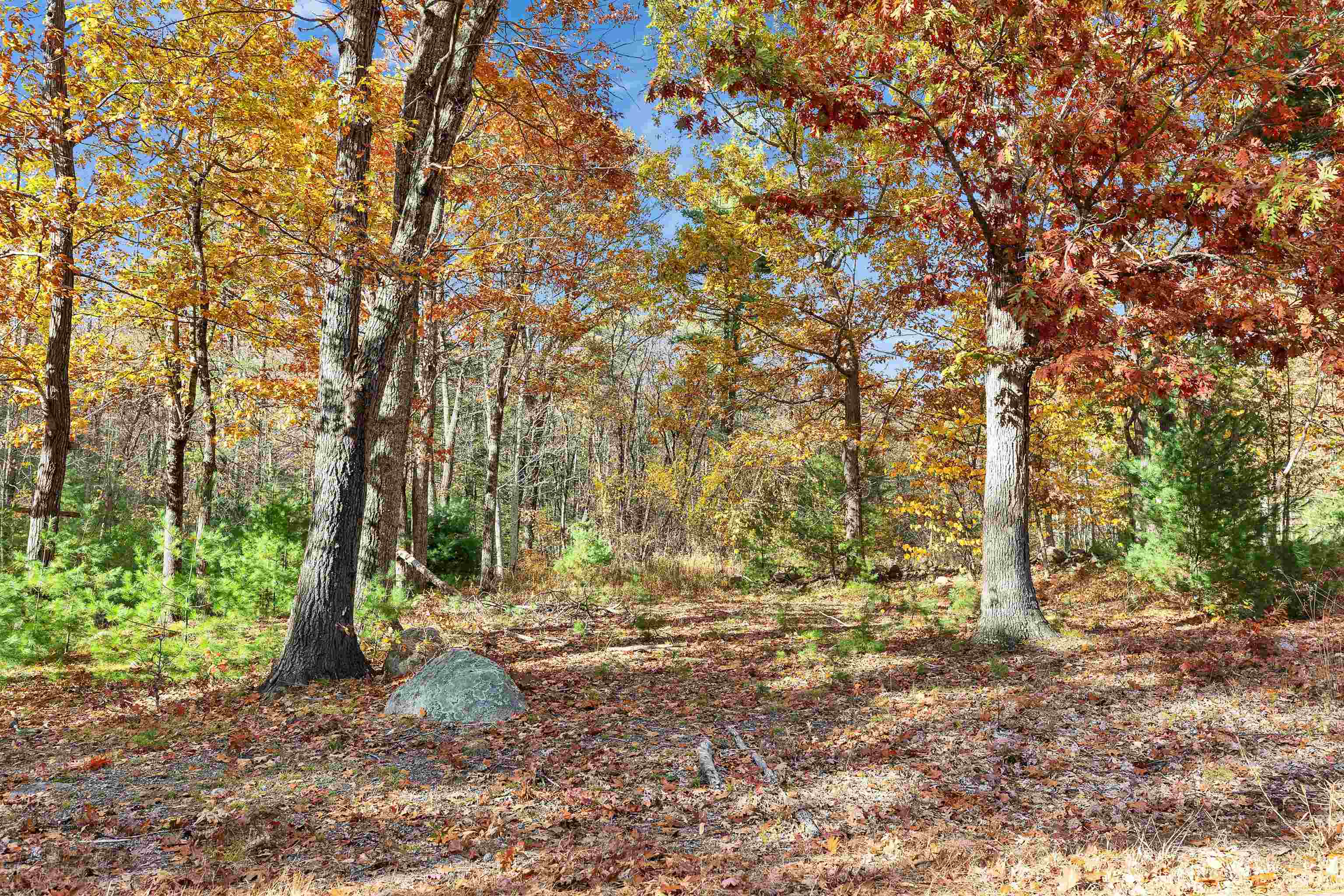 9 Winterberry Rd, Brookline, NH 03033