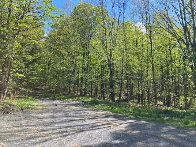 Readsboro VT&nbsp;Land for sale $$79,000 | 17 Acres  | Price Per Acre $0  | Total Lots 4