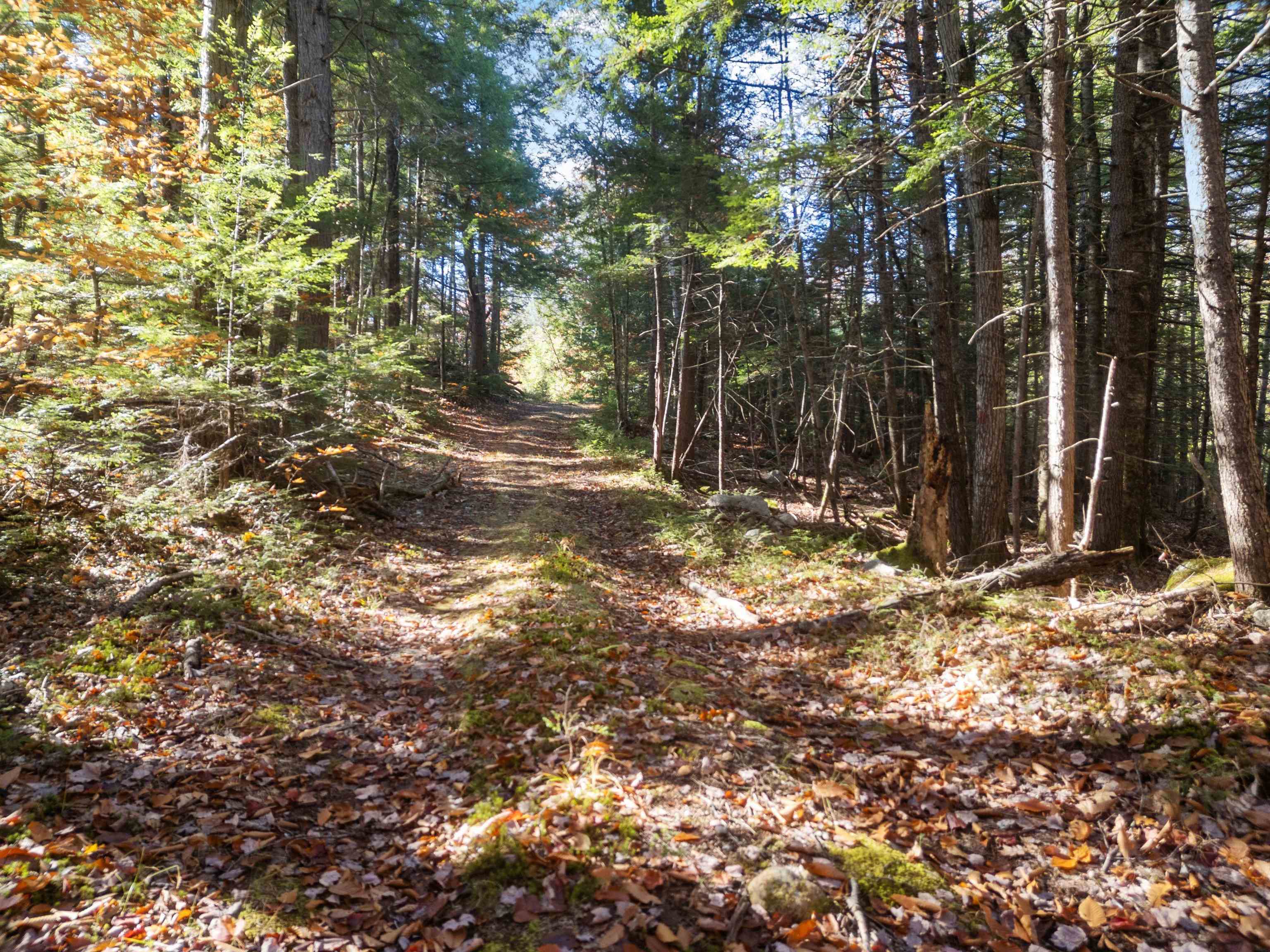 Binks Hill Rd, Plymouth, NH 03264