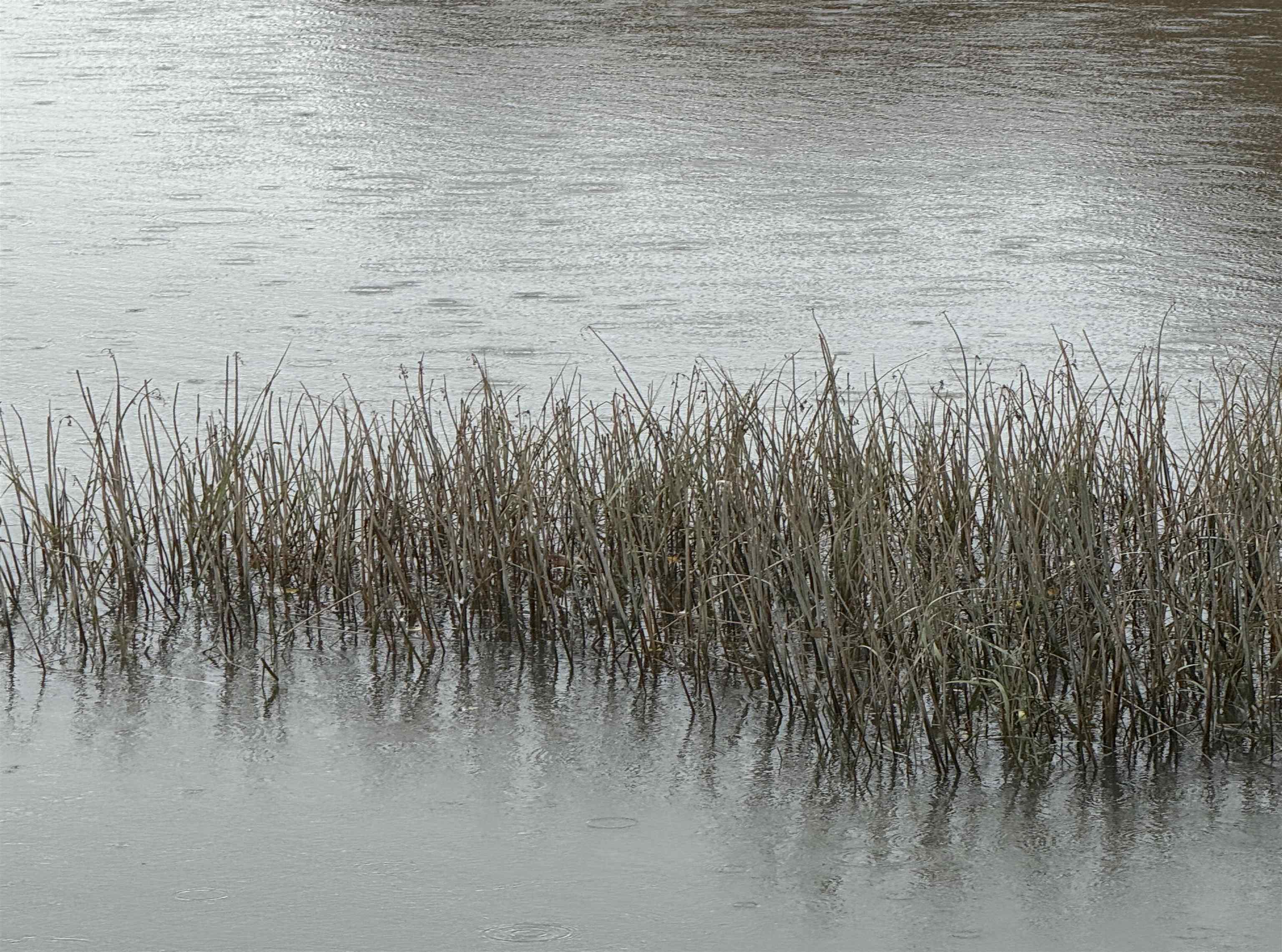 10 String Bridge, Exeter, NH 03833