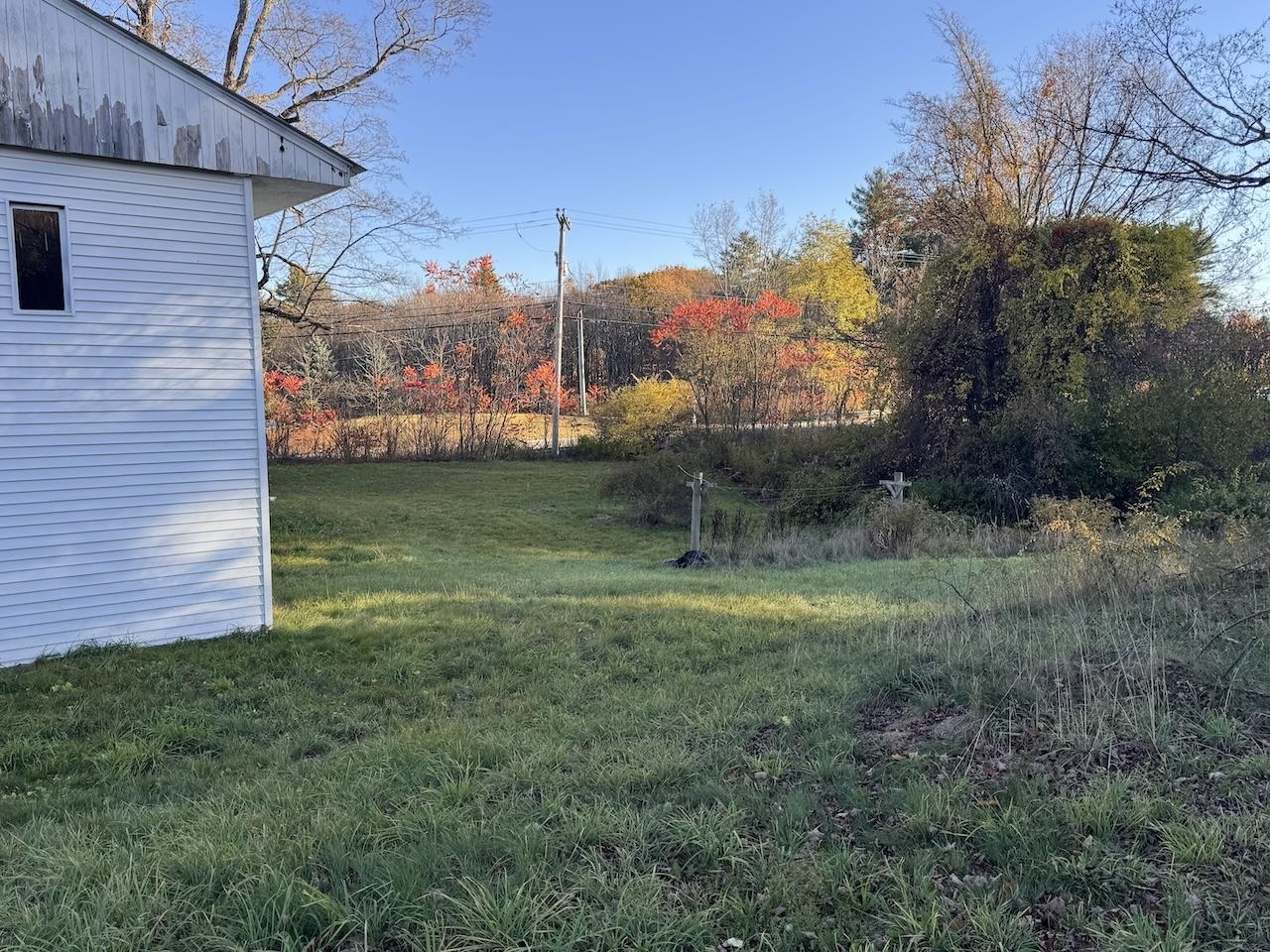 Back and Side Yard