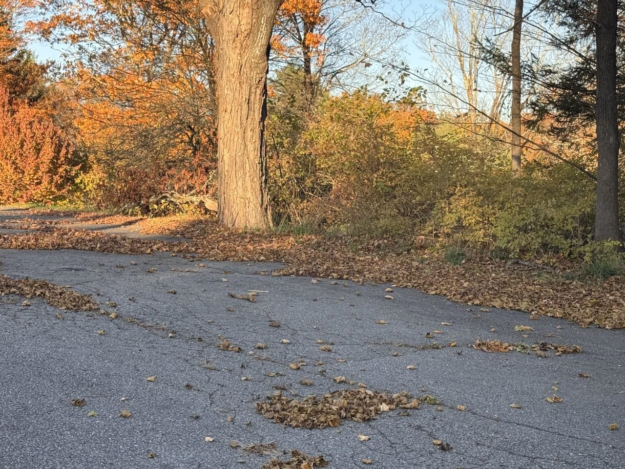Paved Driveway