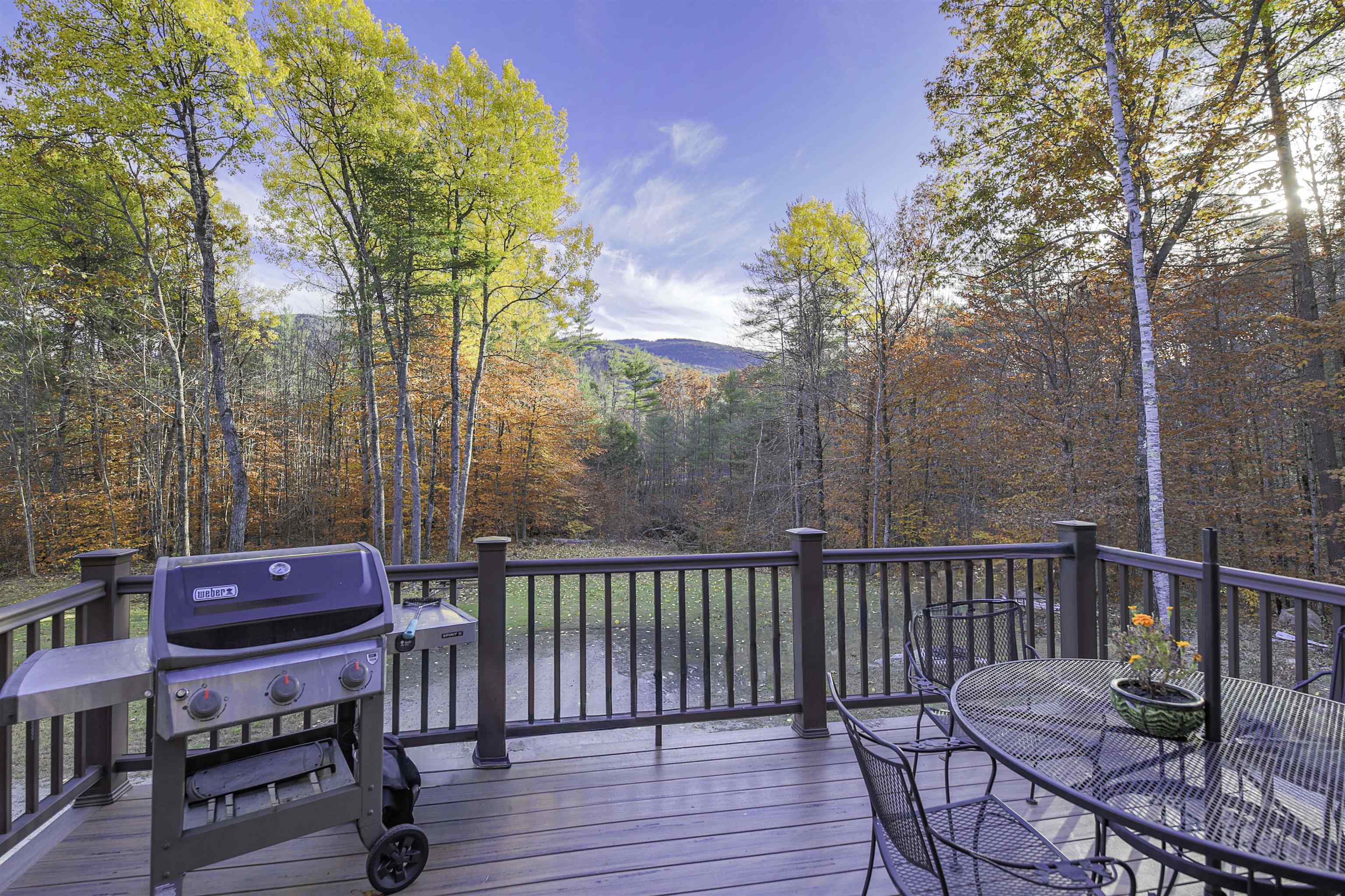 96 Bryant Mill Rd, Tamworth, NH 03886