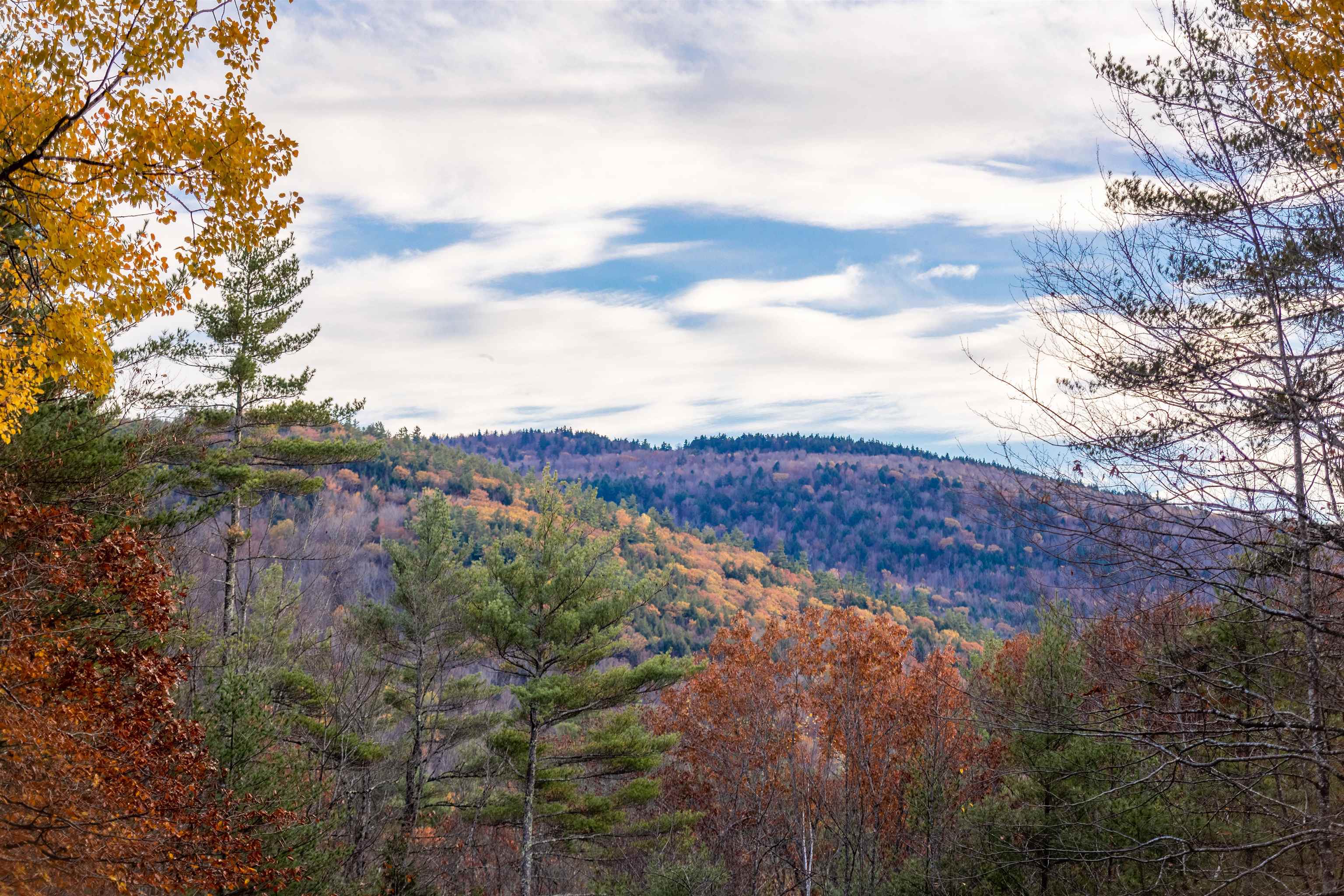 96 Bryant Mill Rd, Tamworth, NH 03886