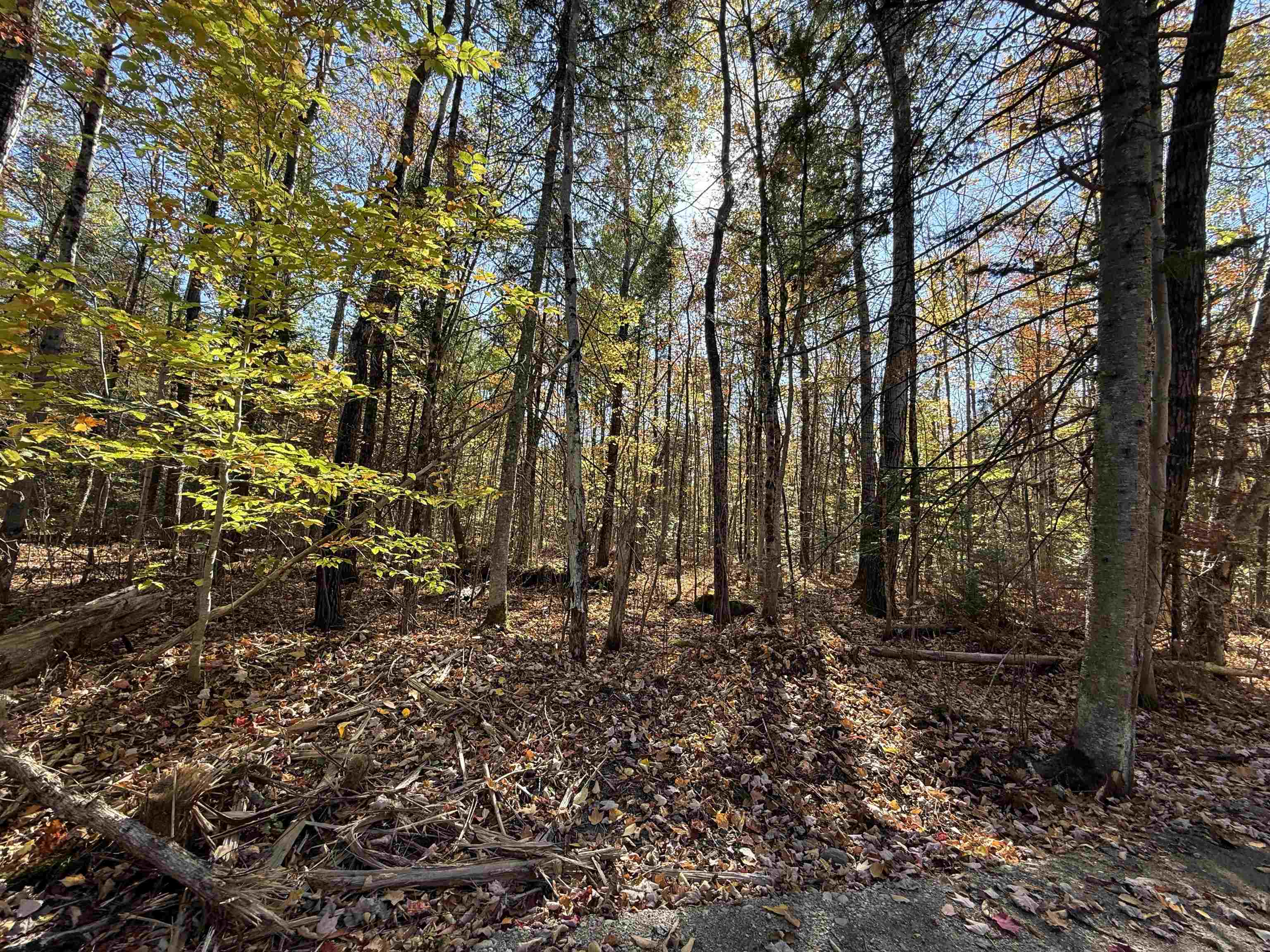 Property photo 12