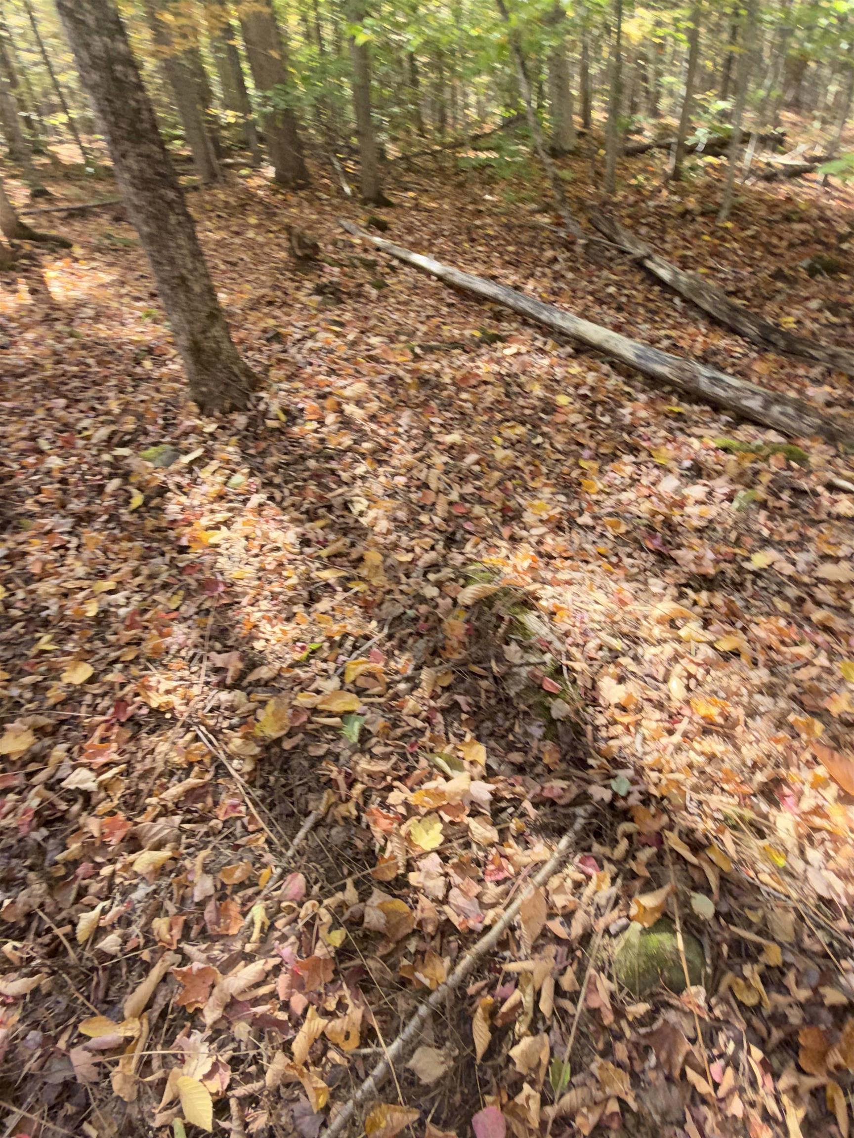 Property photo 24