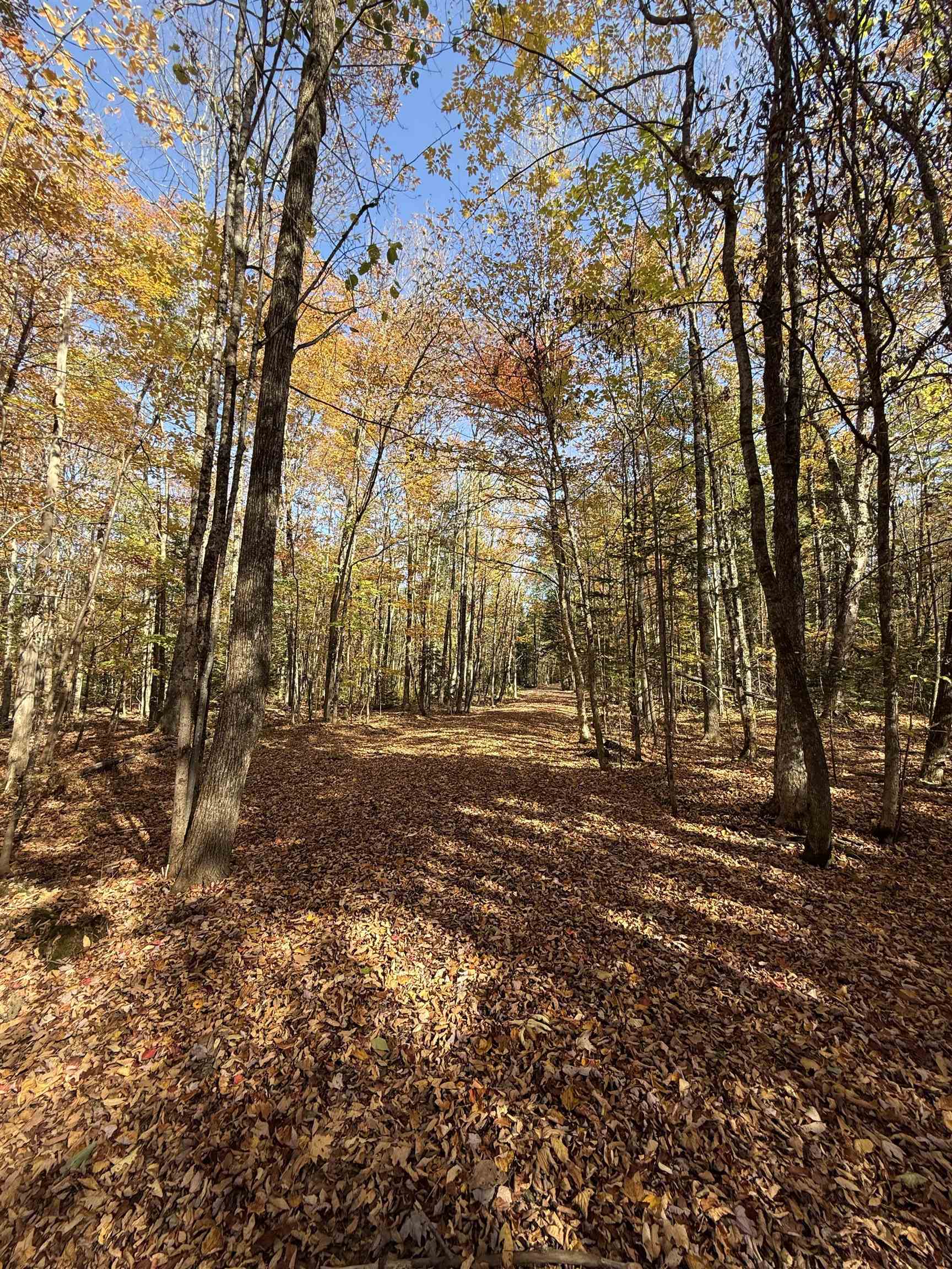 Property photo 30