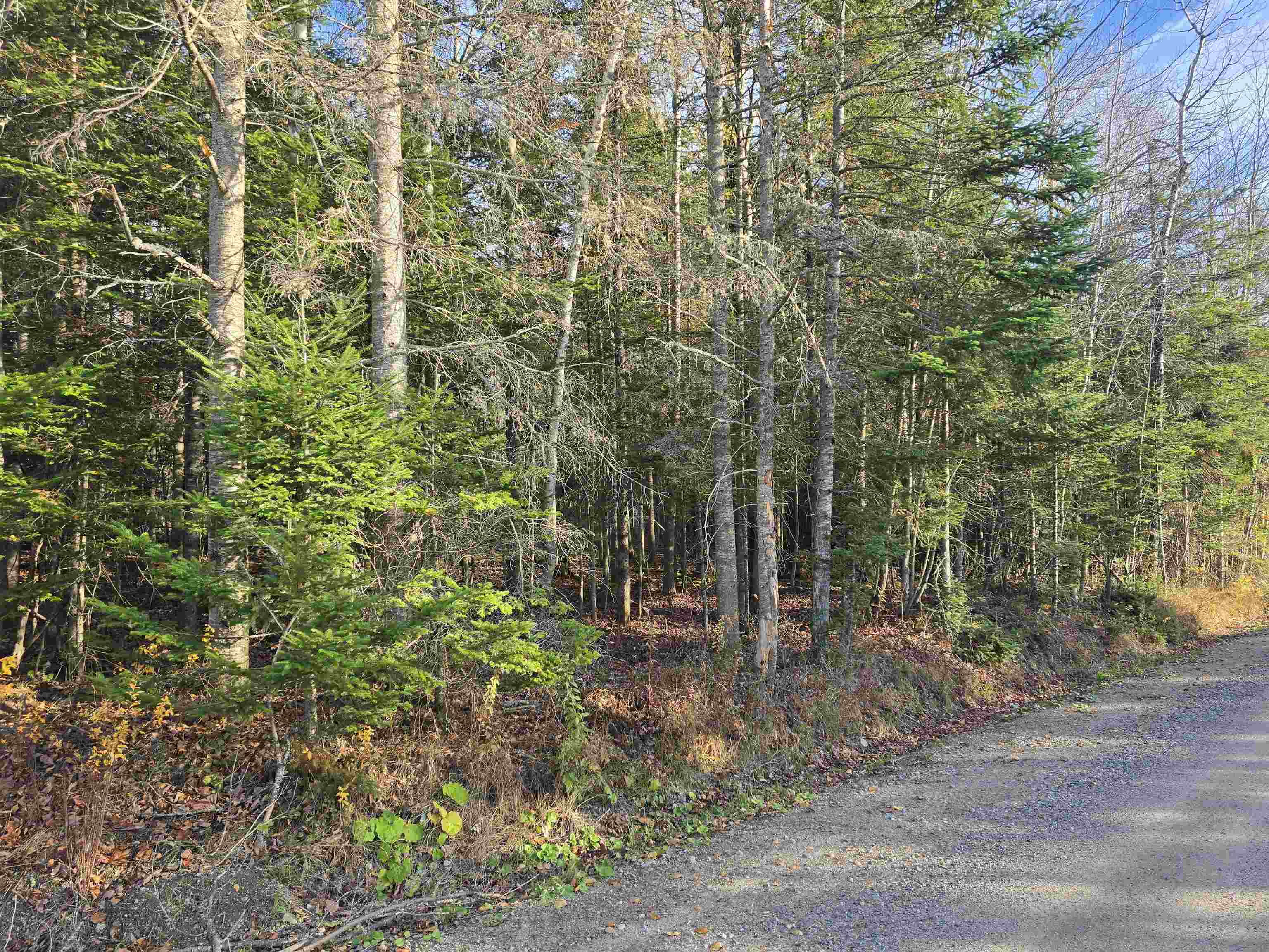 0 Hawkins Rd, Dummer, NH 03588